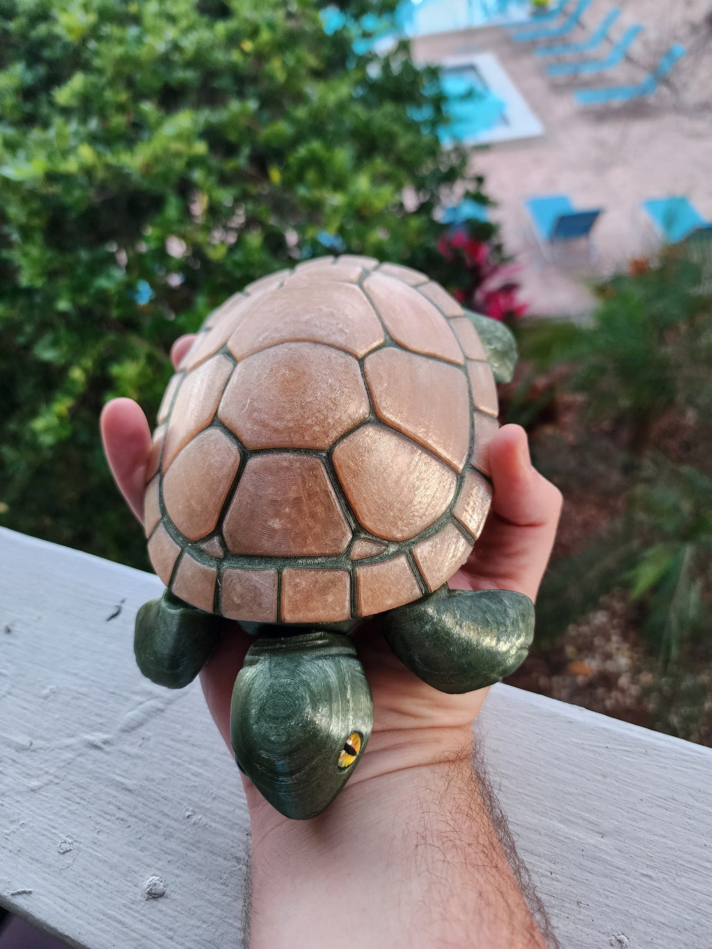 PetLinks Giant — Turtle