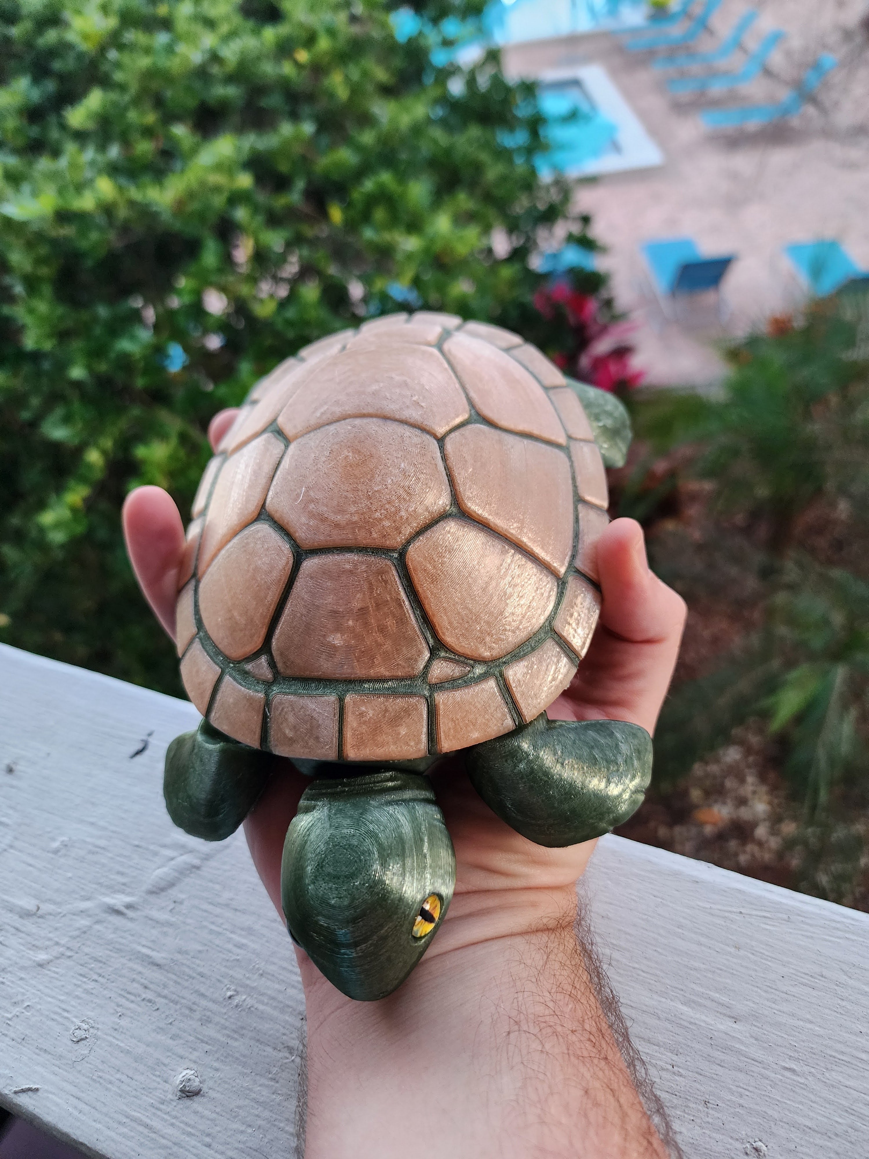 PetLinks Giant — Turtle