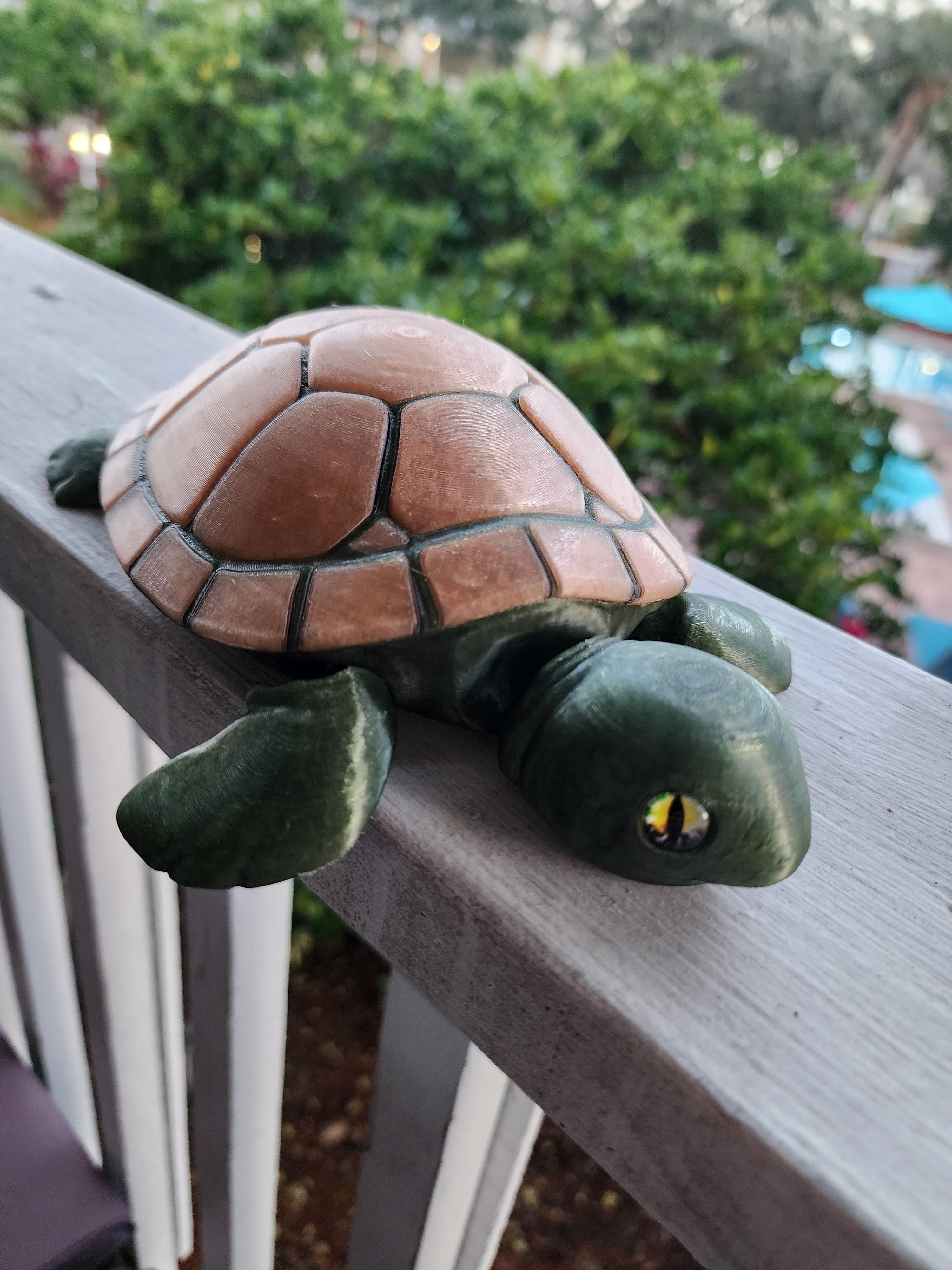 PetLinks Giant — Turtle
