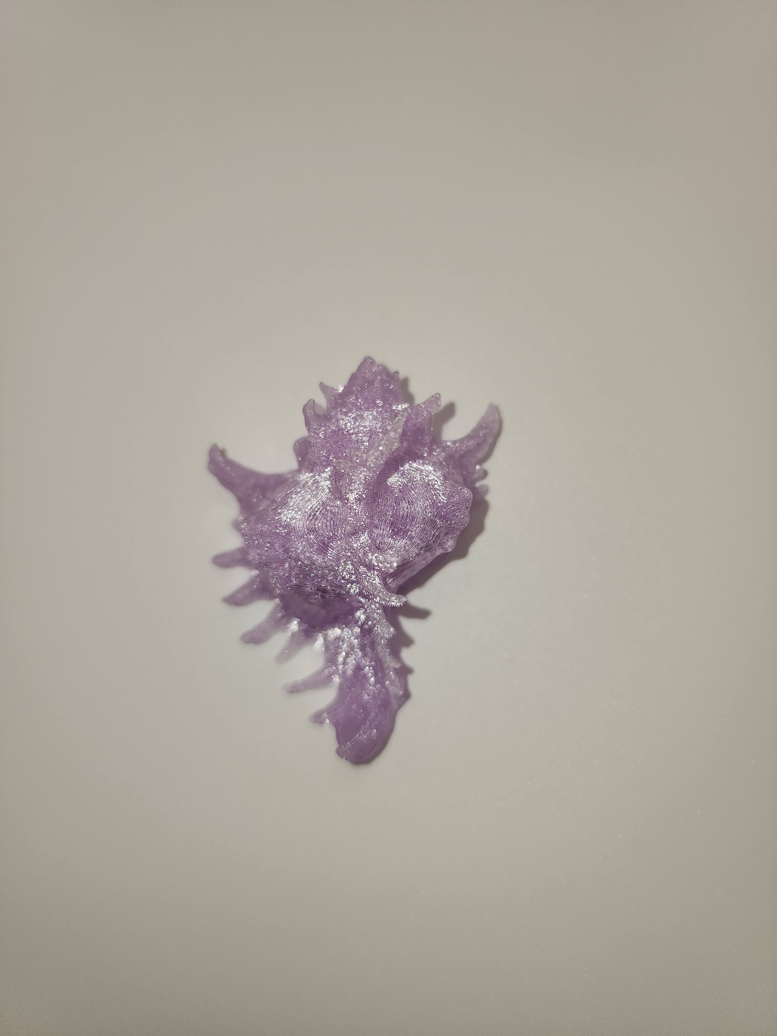 Shell Magnet