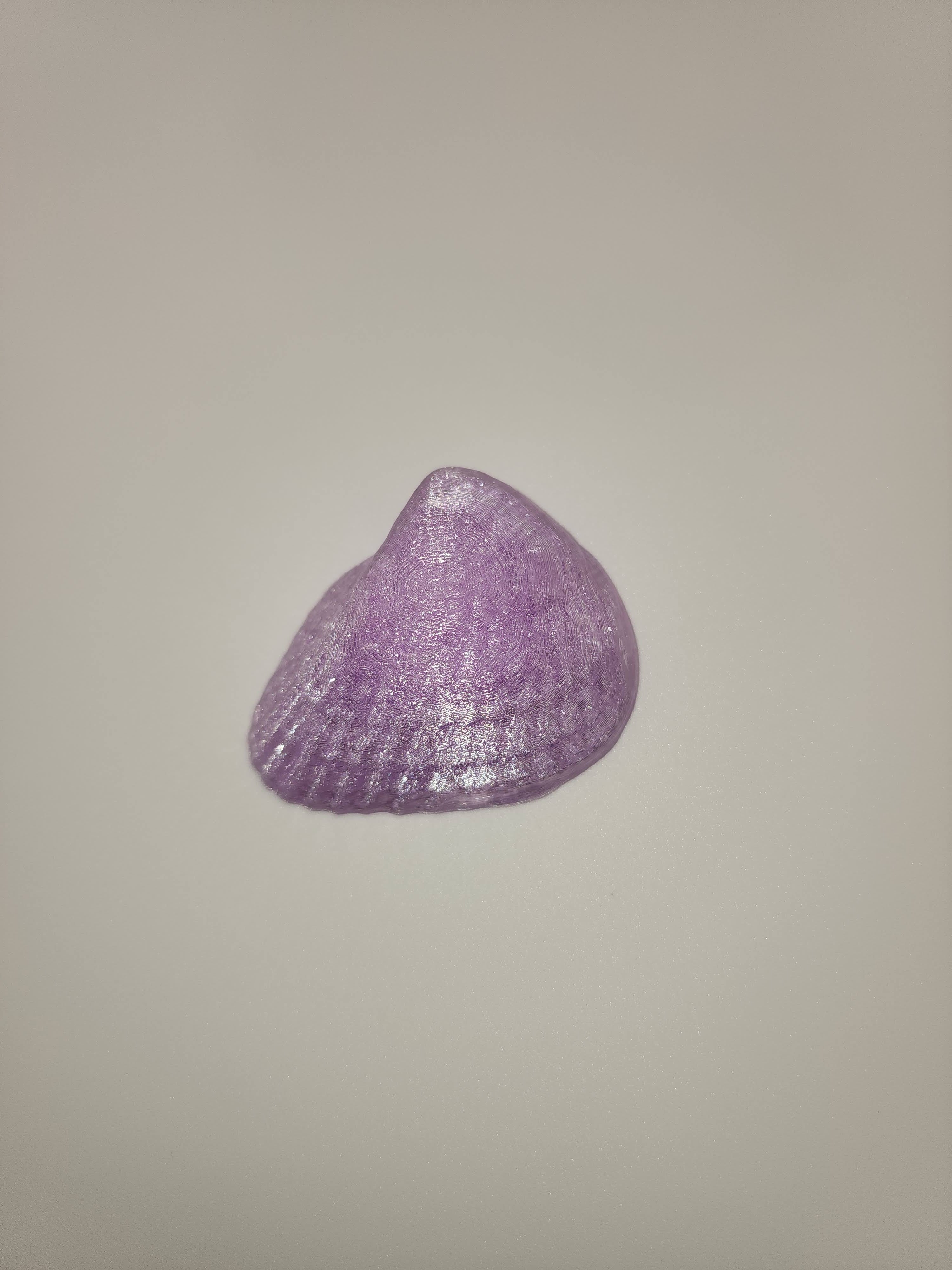 Shell Magnet