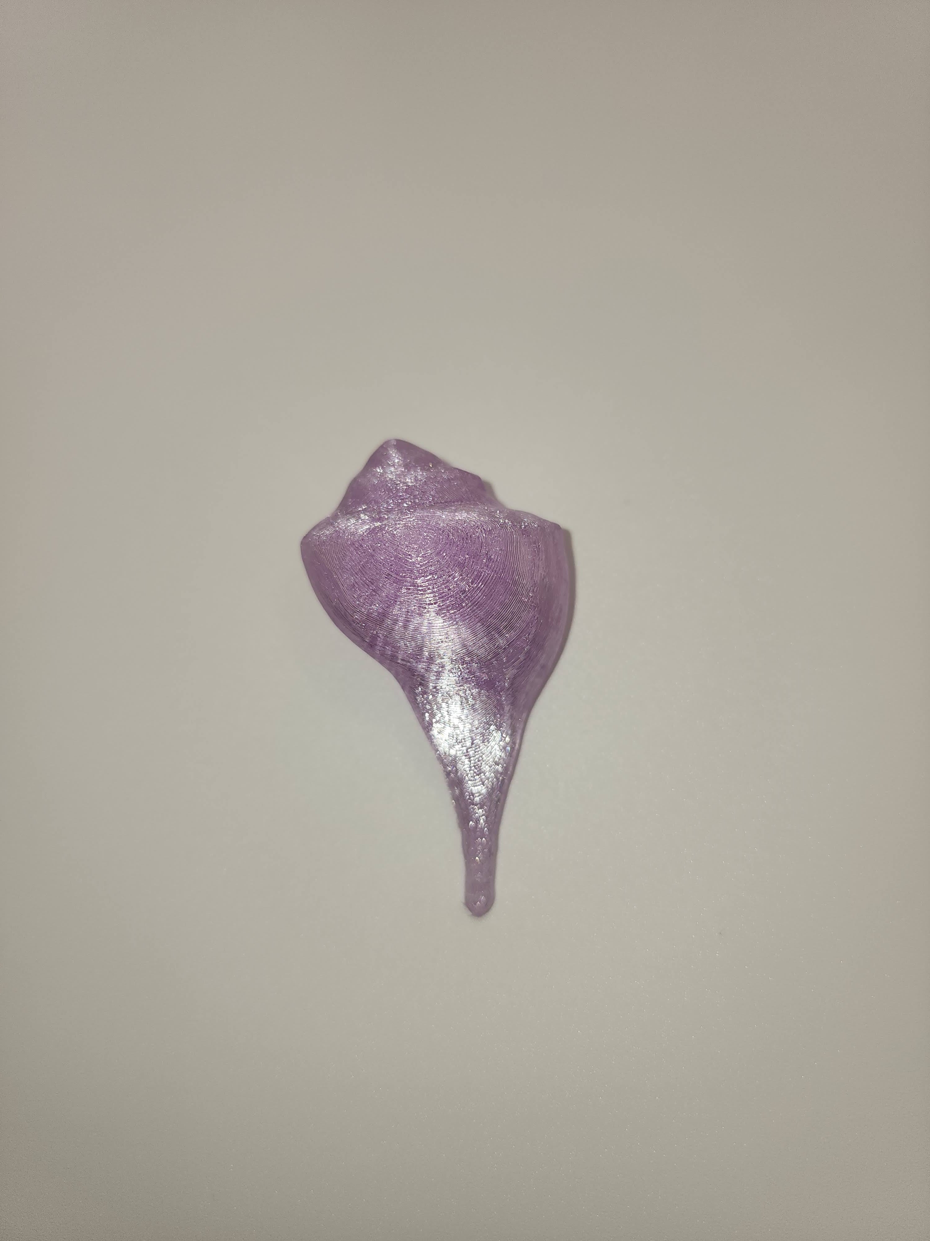 Shell Magnet
