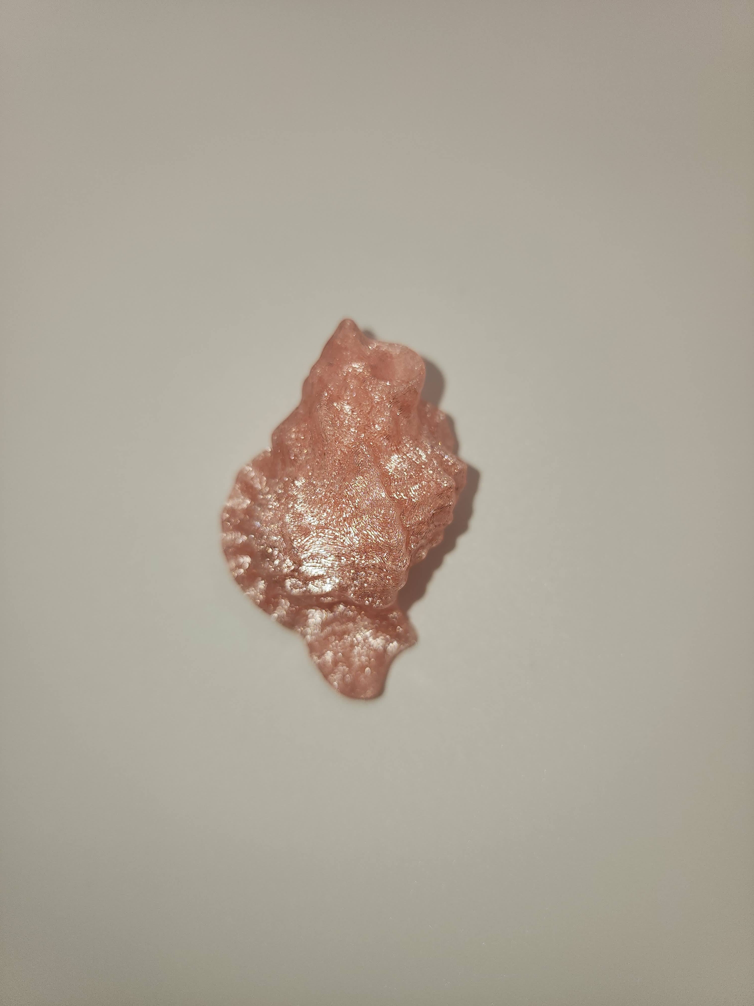 Shell Magnet