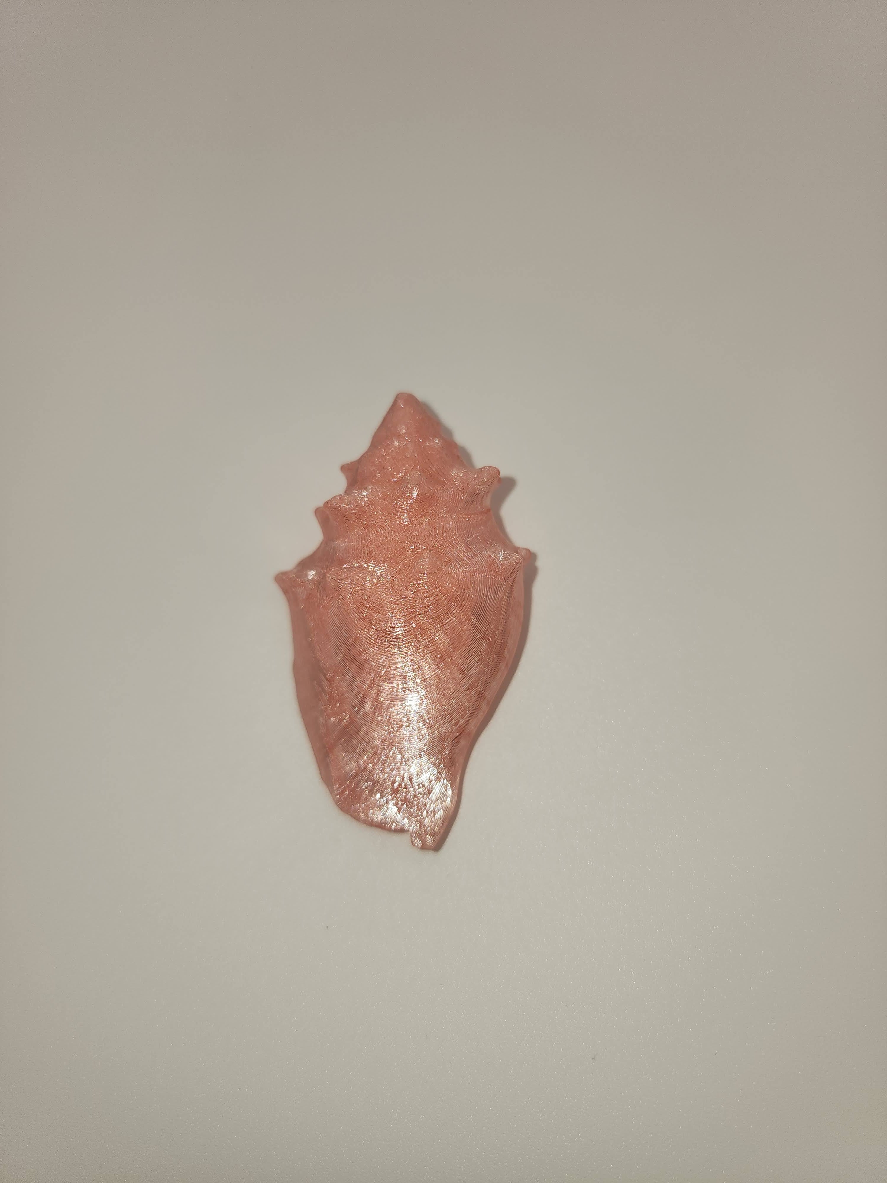Shell Magnet
