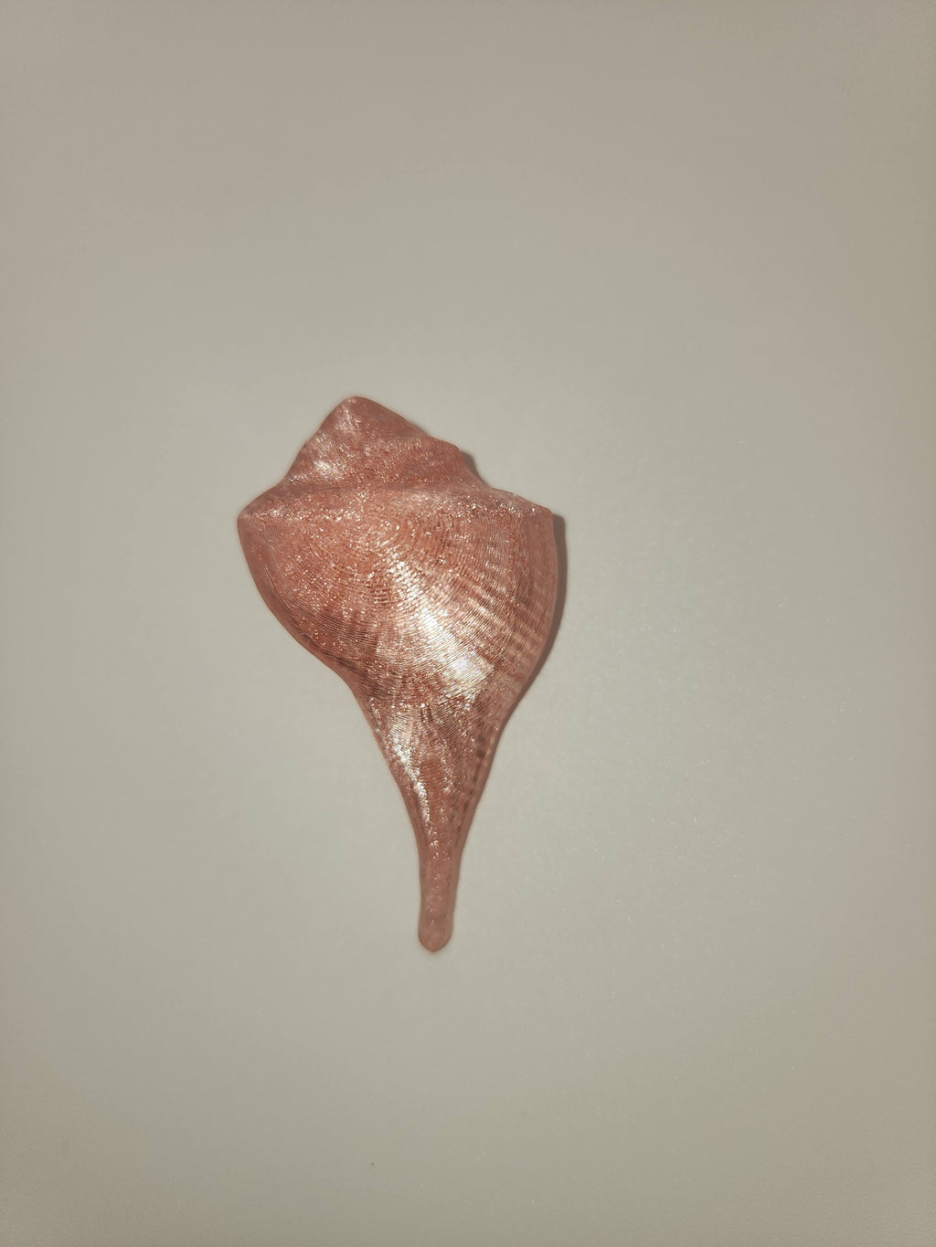 Shell Magnet