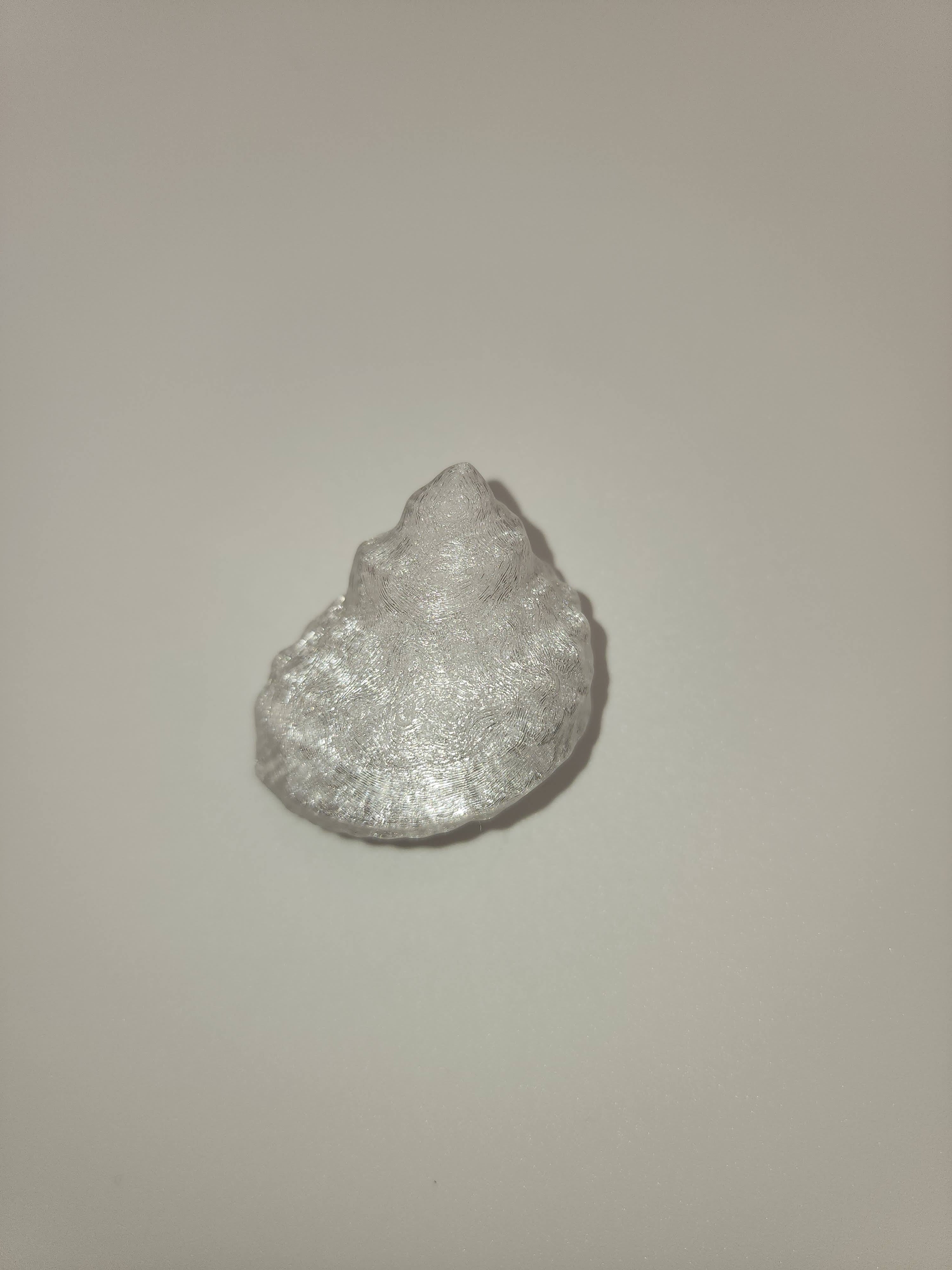 Shell Magnet