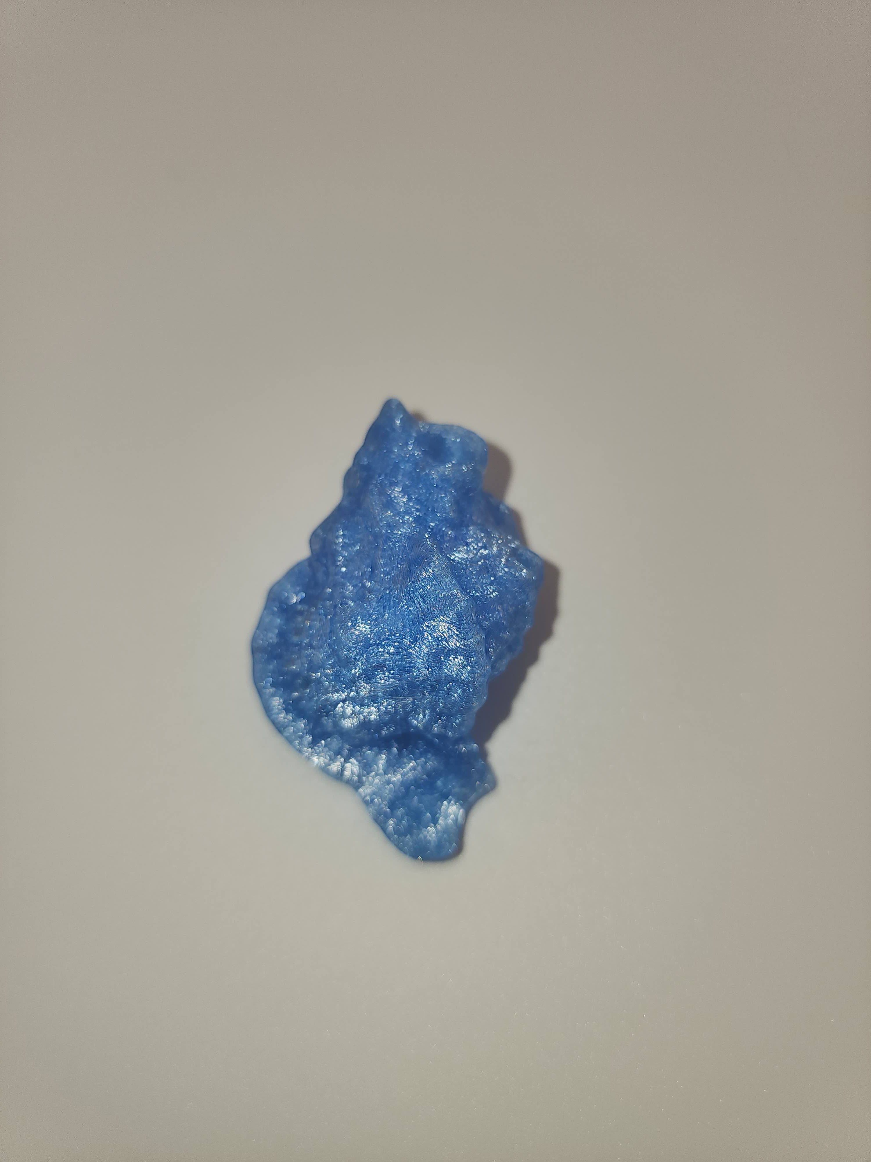 Shell Magnet