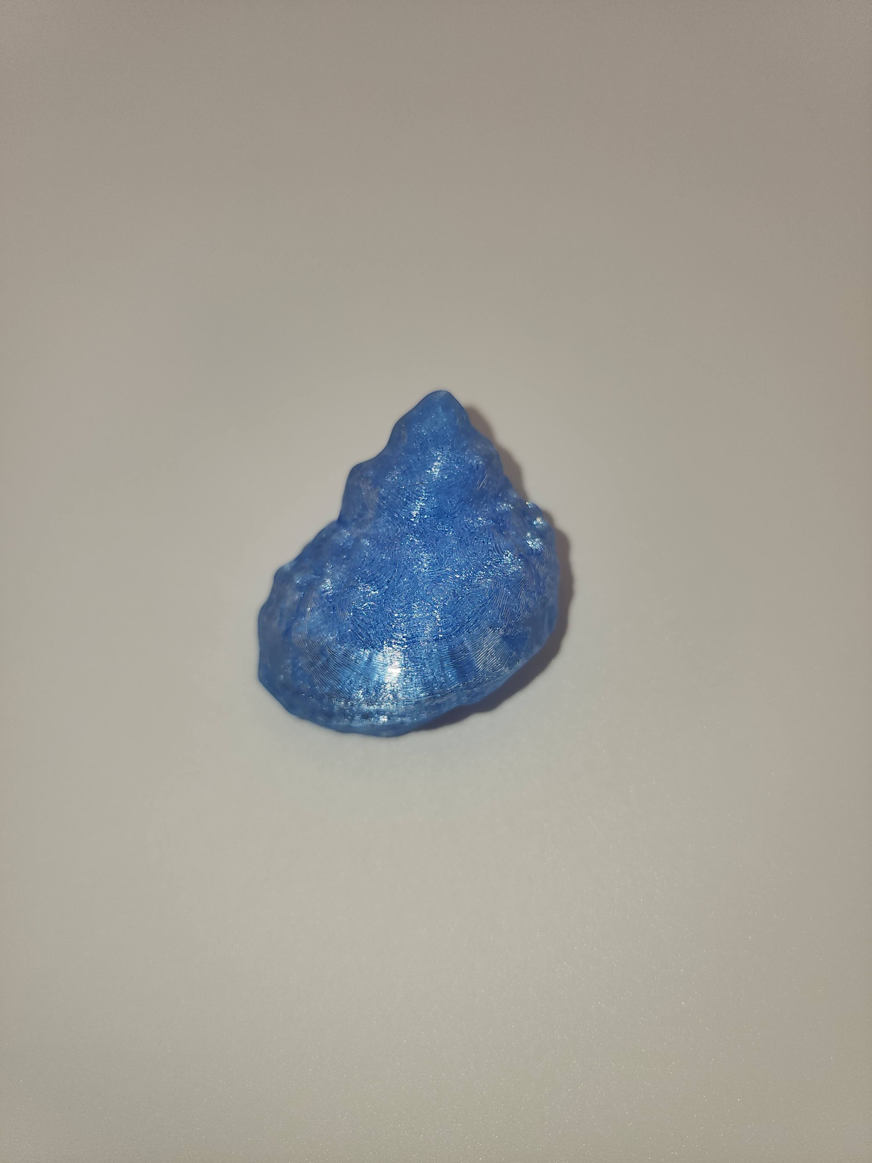 Shell Magnet