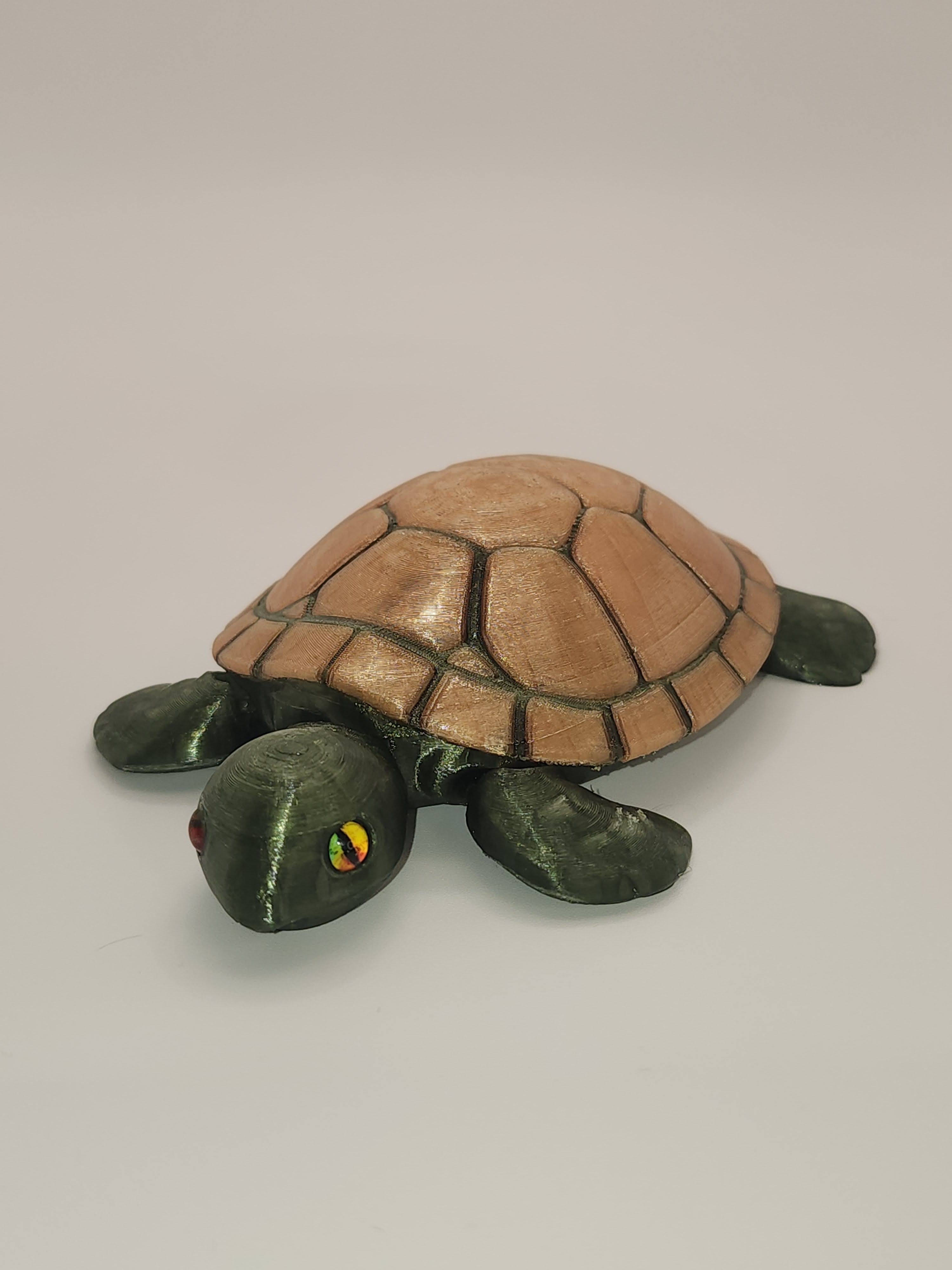 PetLinks Pal — Turtle