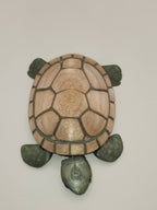 PetLinks Pal — Turtle