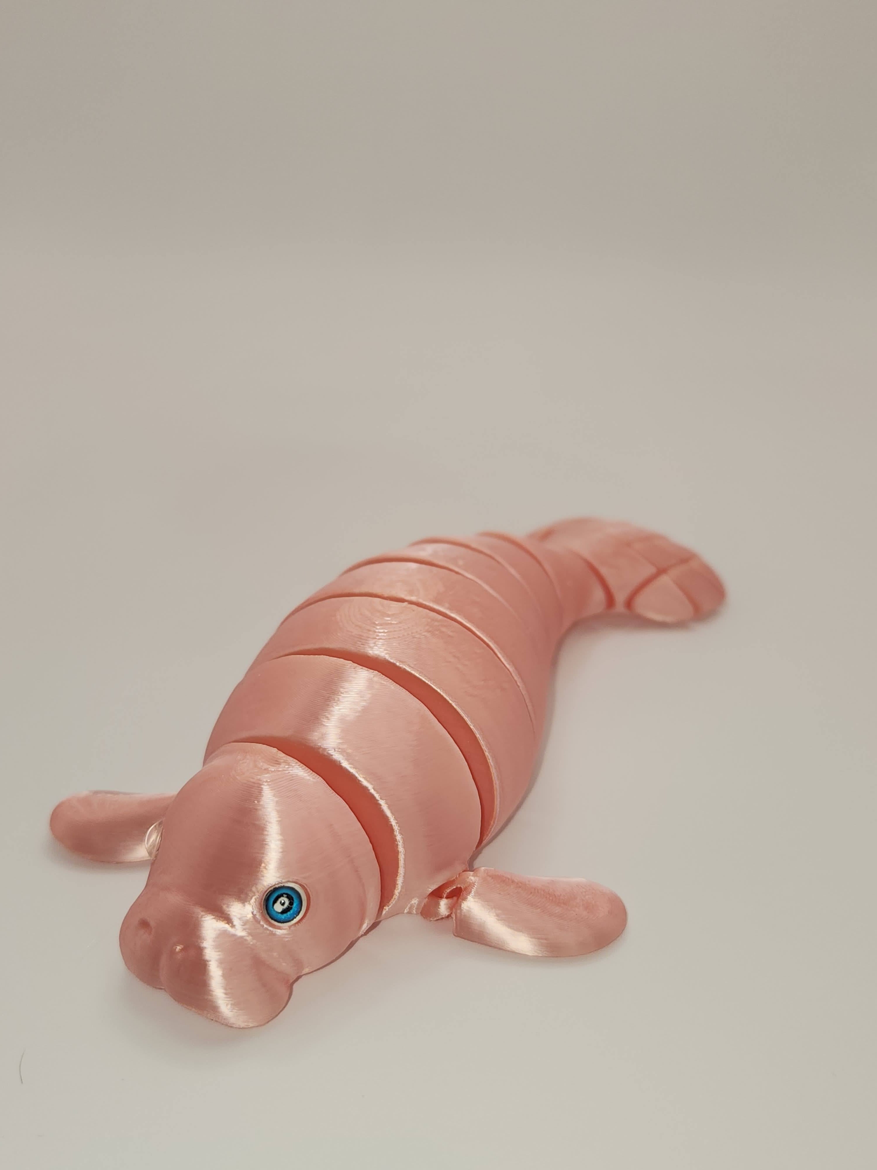 PetLinks Pal — Manatee