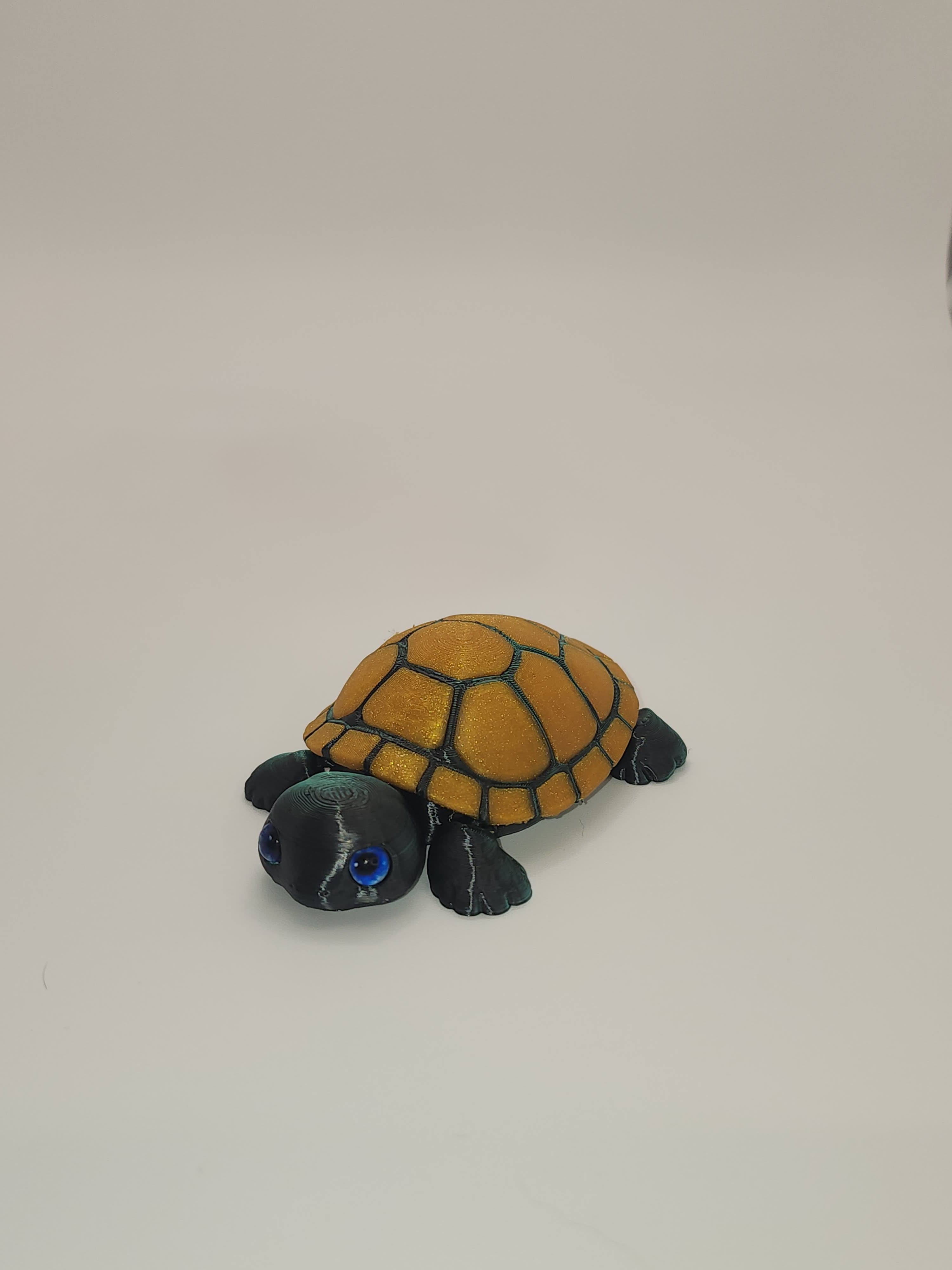 PetLinks Baby — Turtle