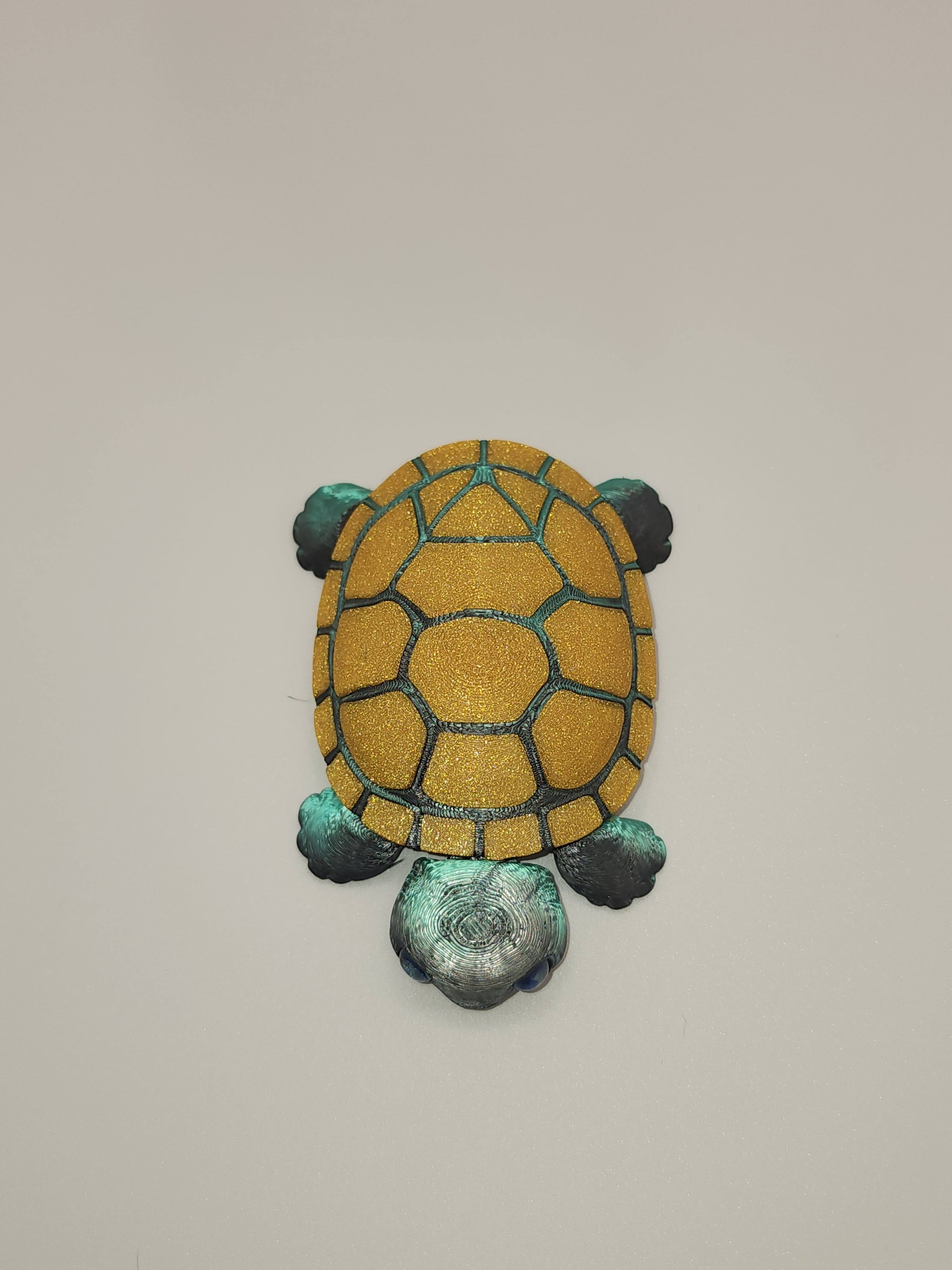 PetLinks Baby — Turtle