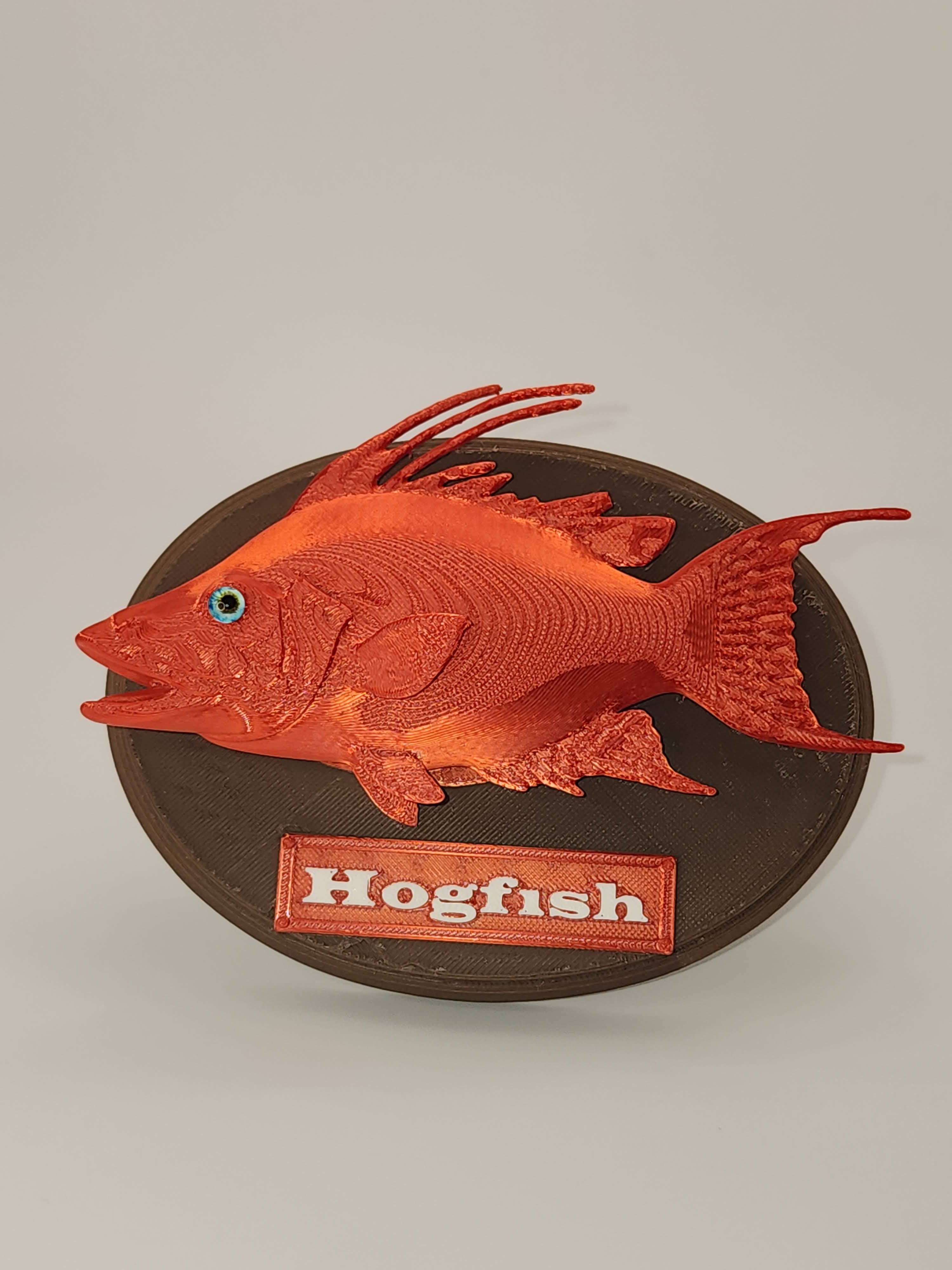 Fish Trophy