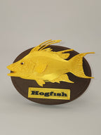 Fish Trophy