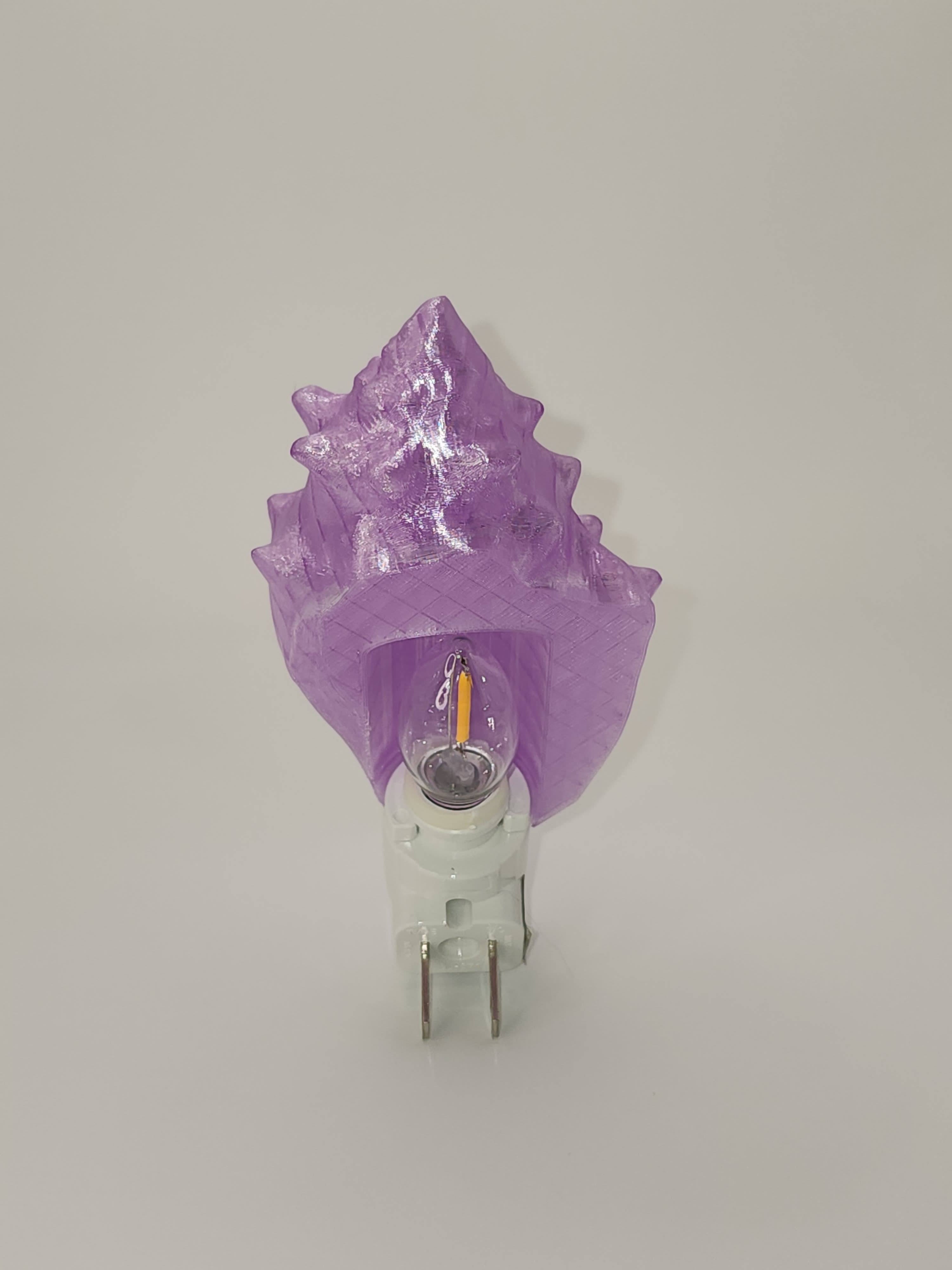 Shell Night Lights