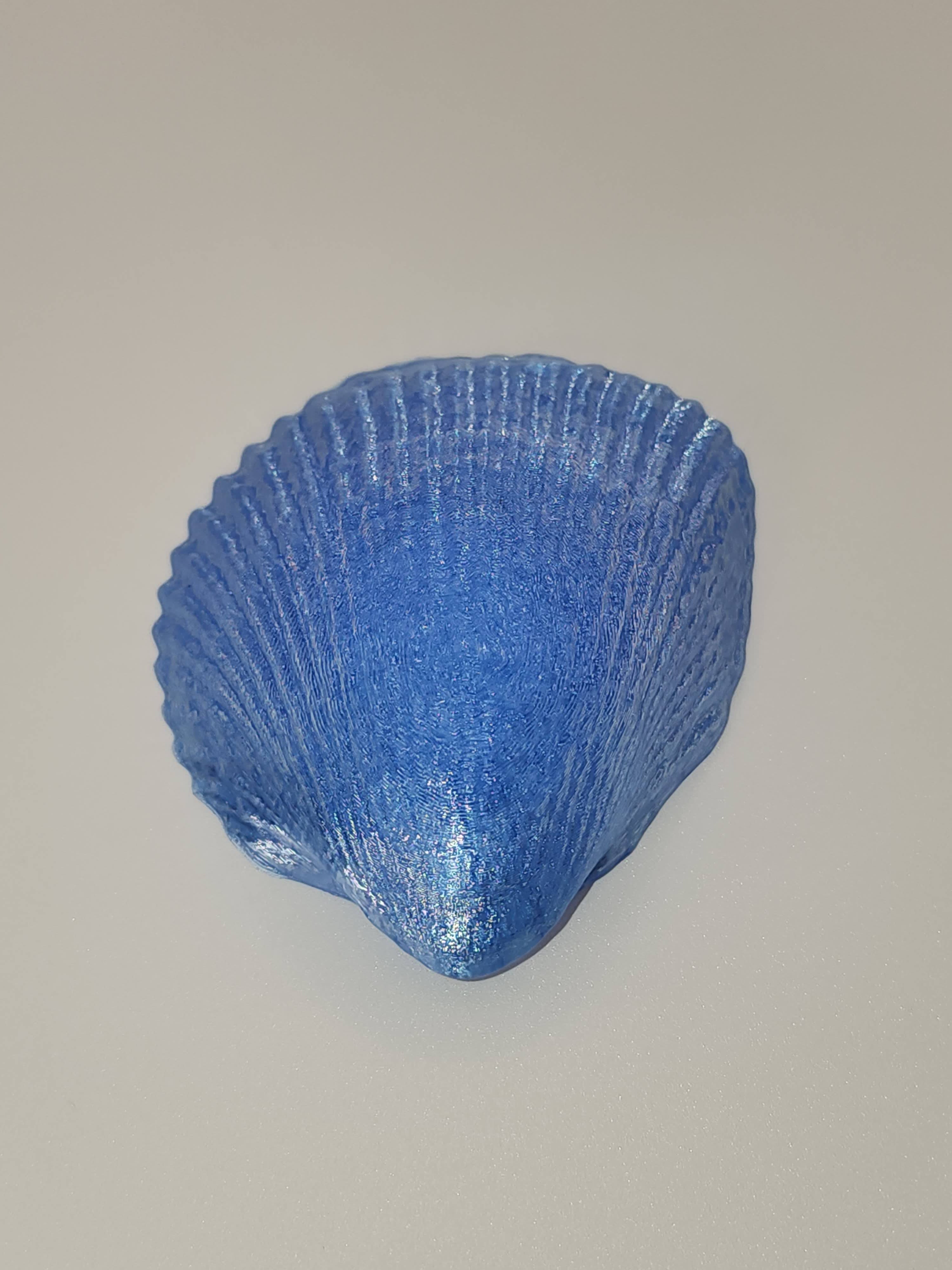 Shell Lights