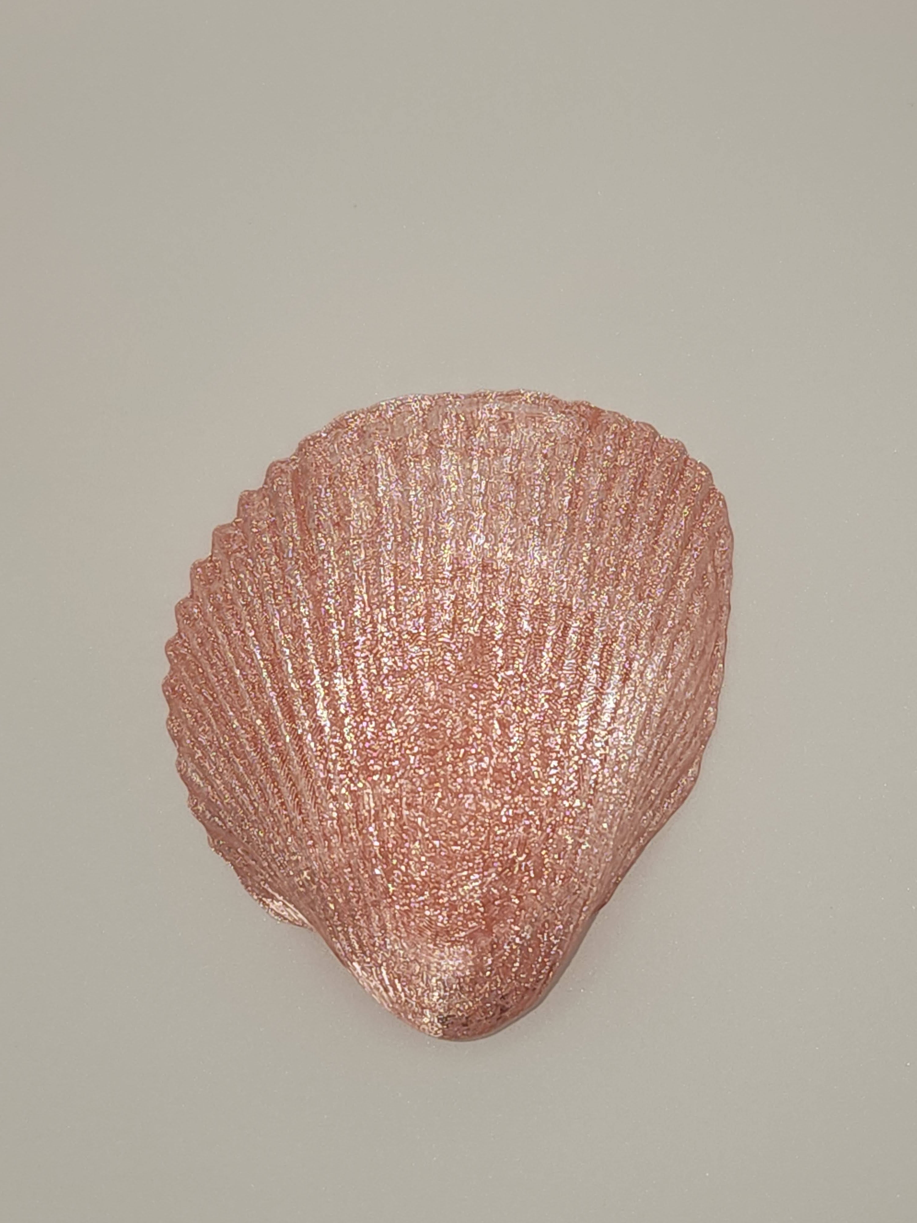 Shell Lights