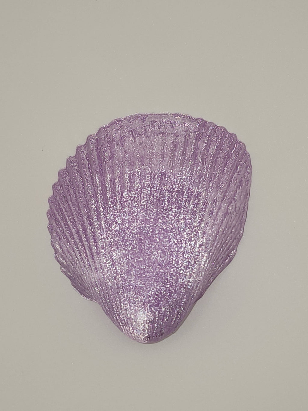 Shell Lights