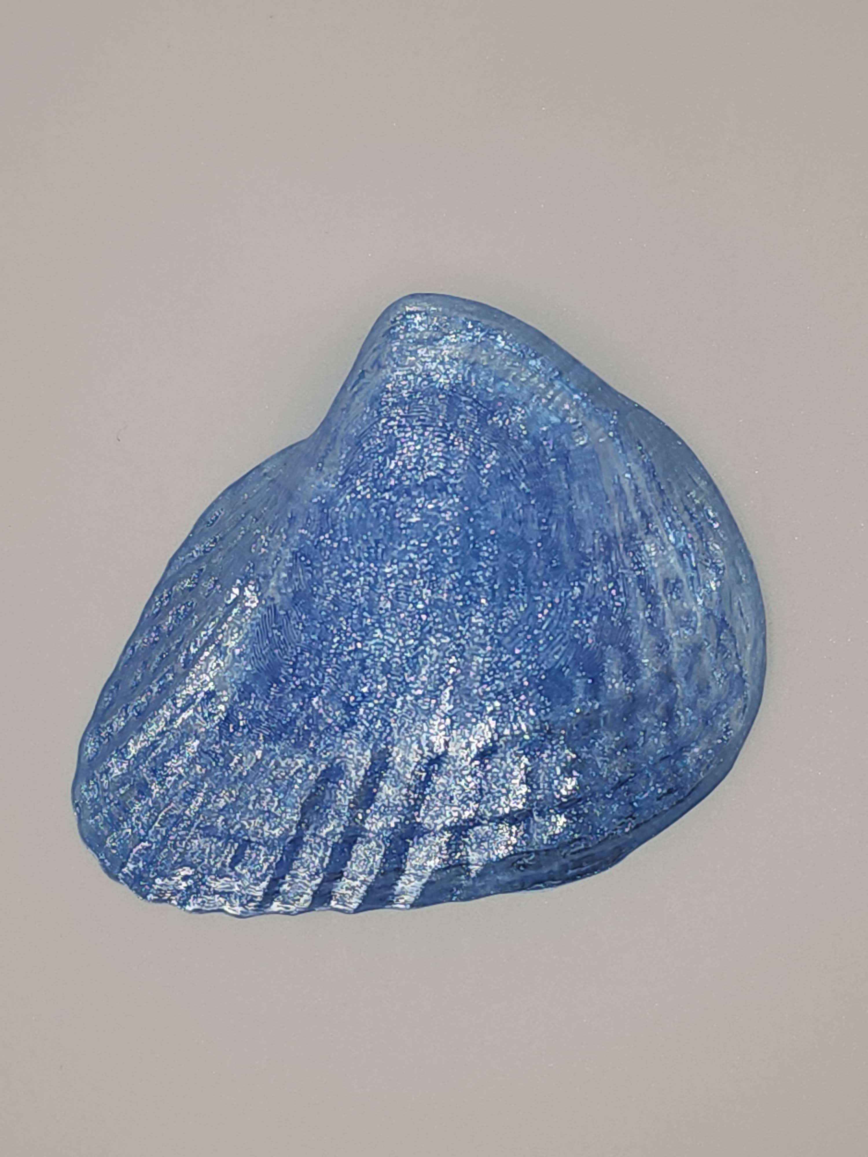 Shell Lights