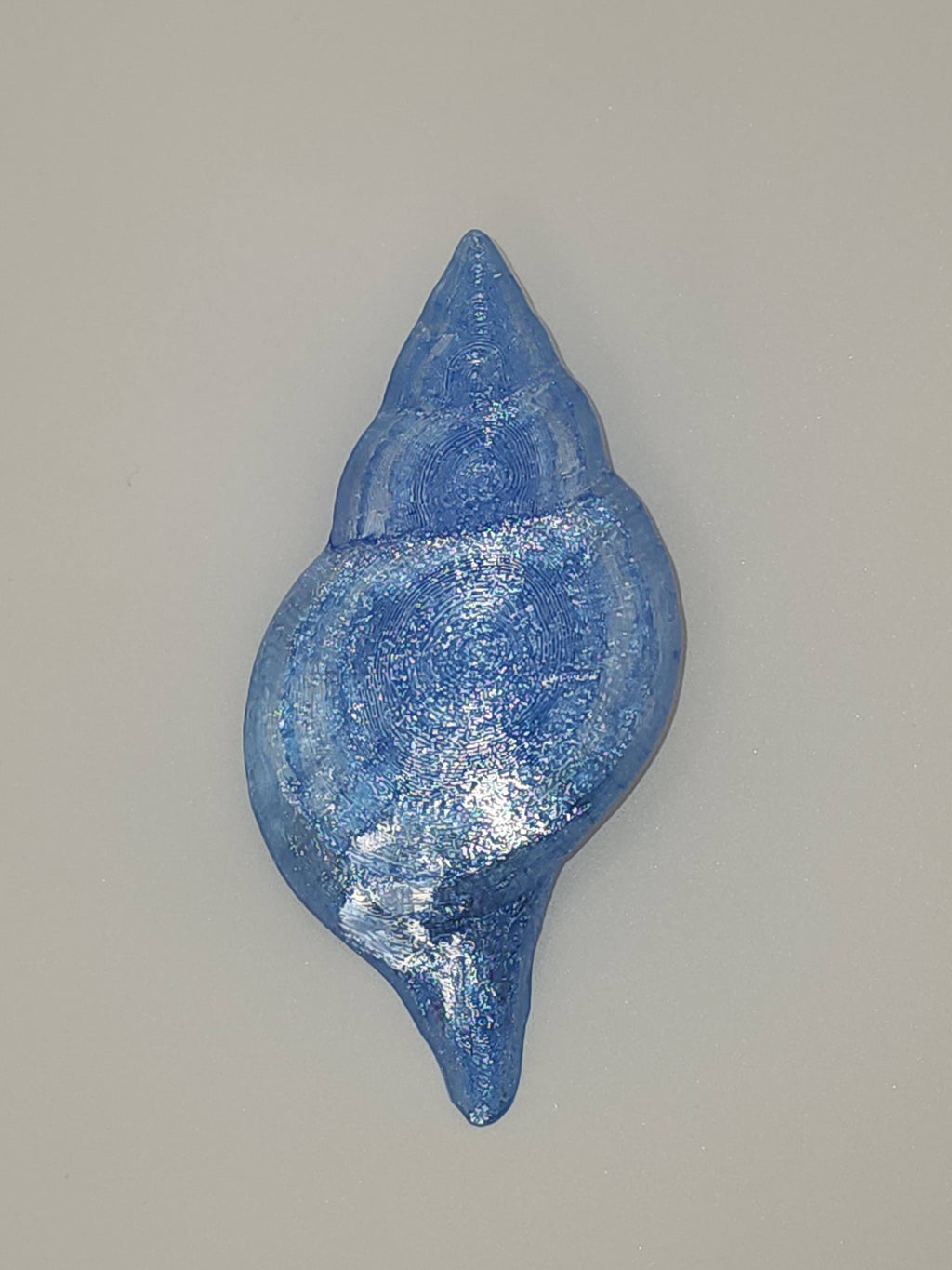 Shell Lights