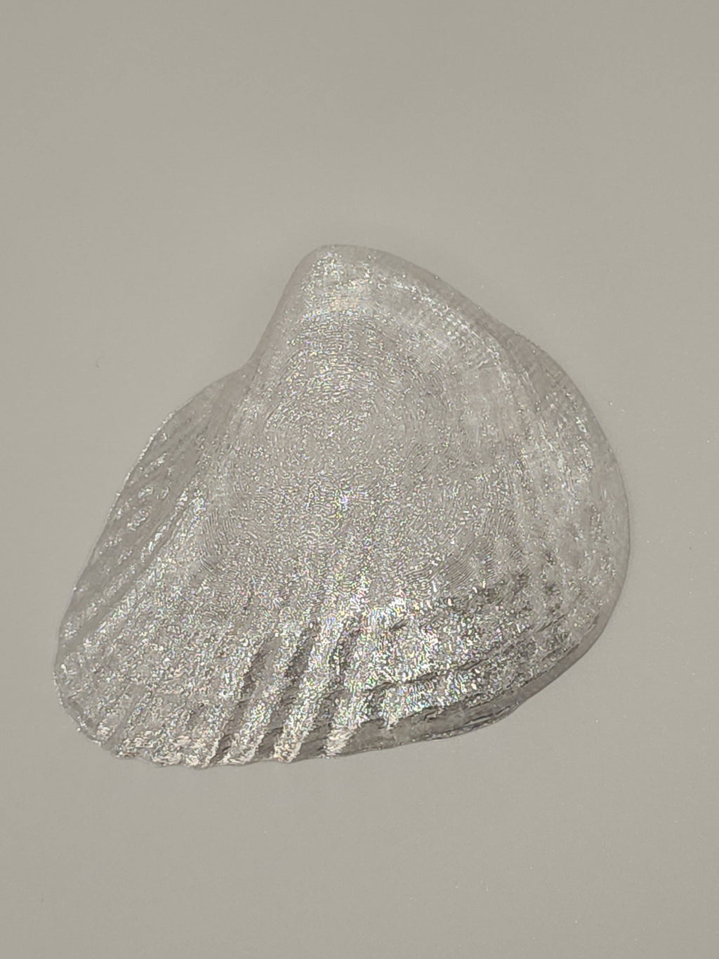 Shell Lights