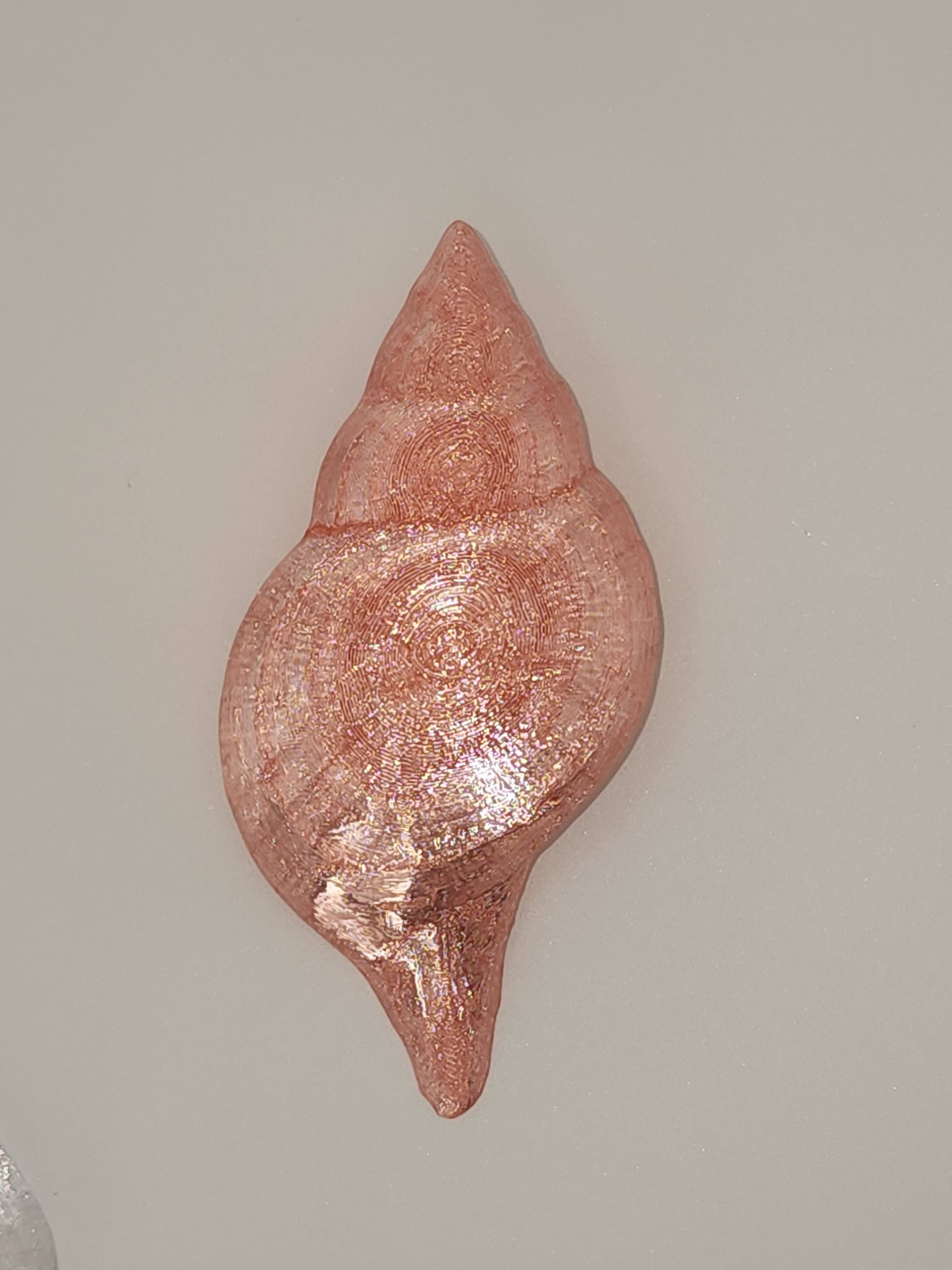 Shell Lights