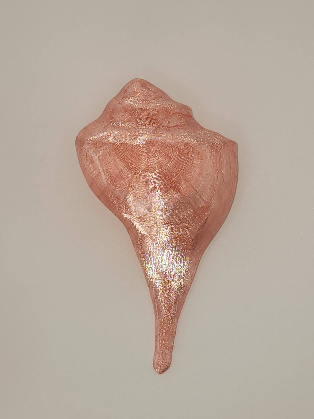Shell Lights