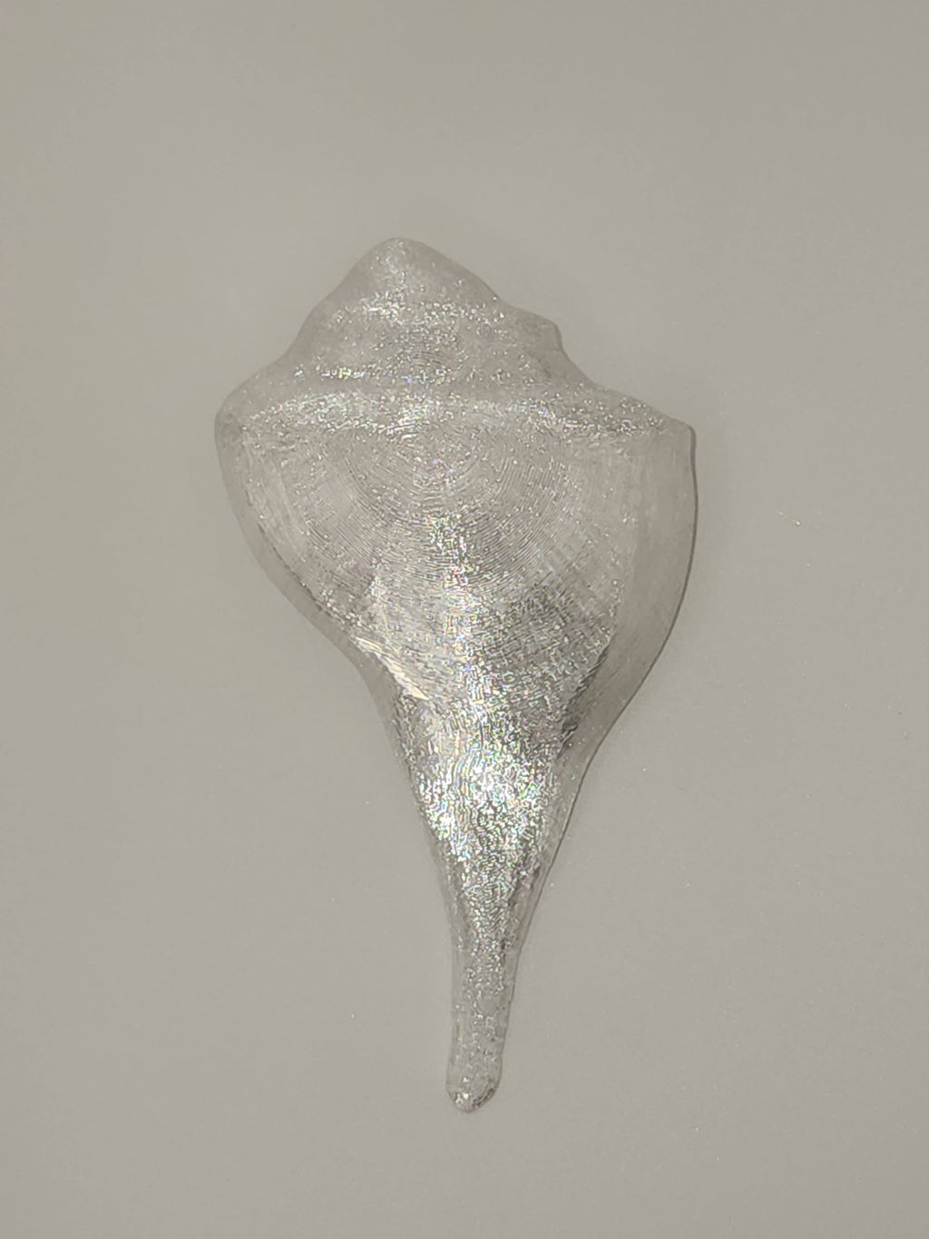 Shell Lights