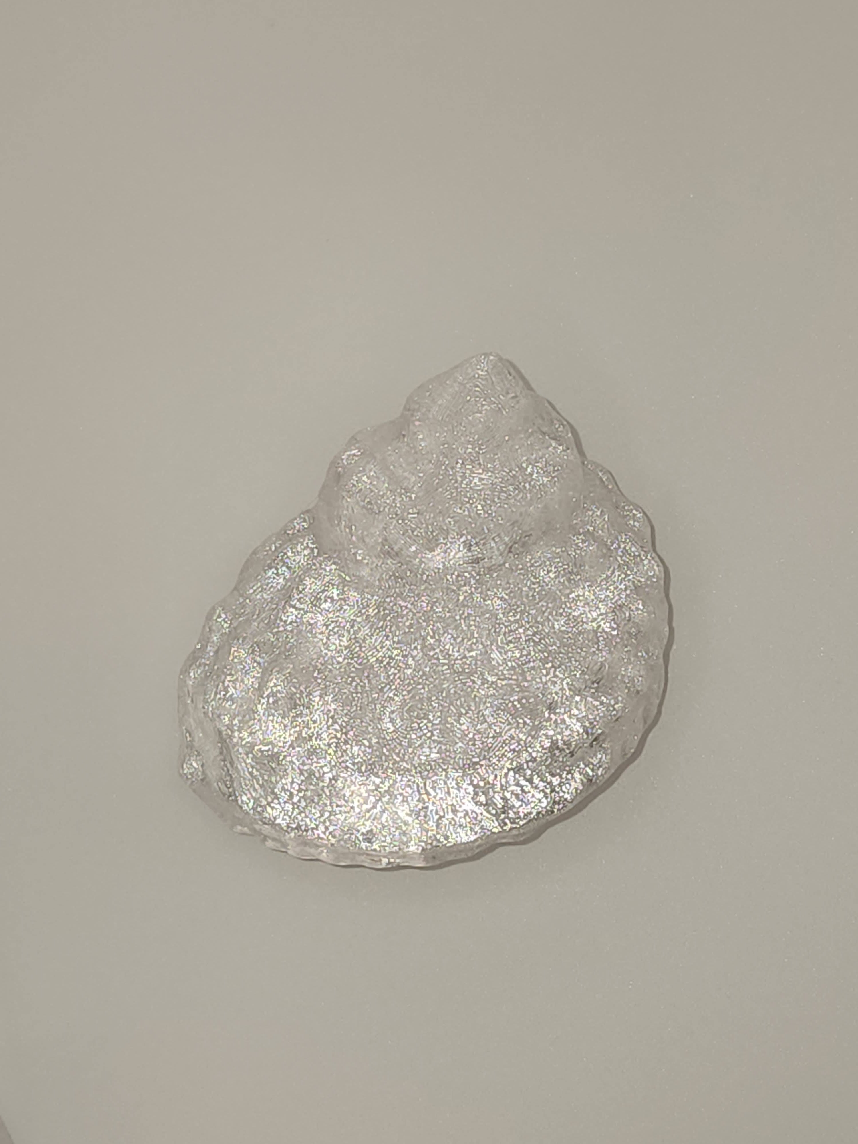 Shell Lights
