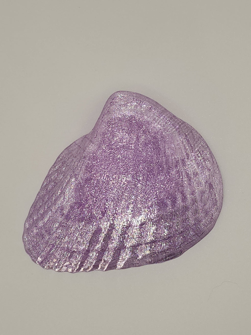 Shell Lights