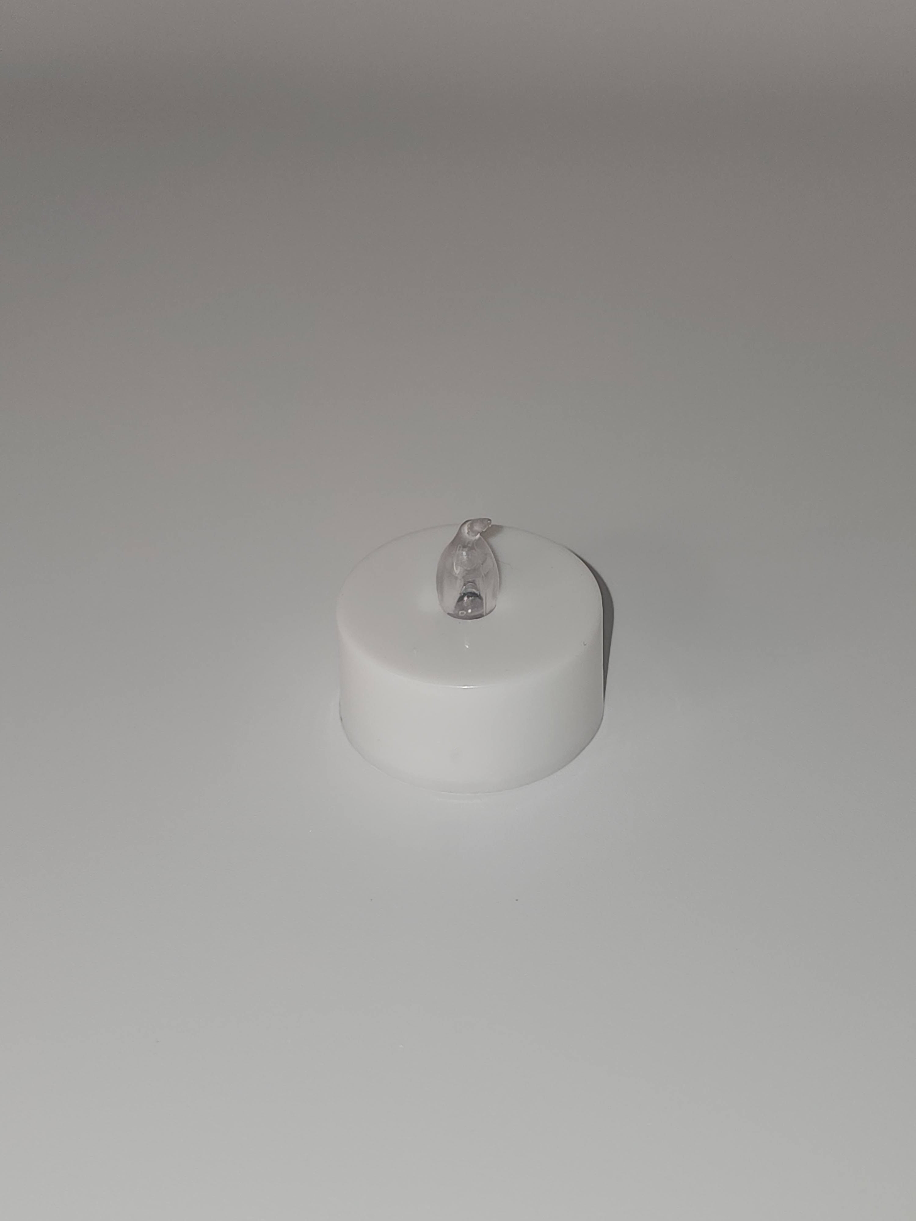Shell Lights