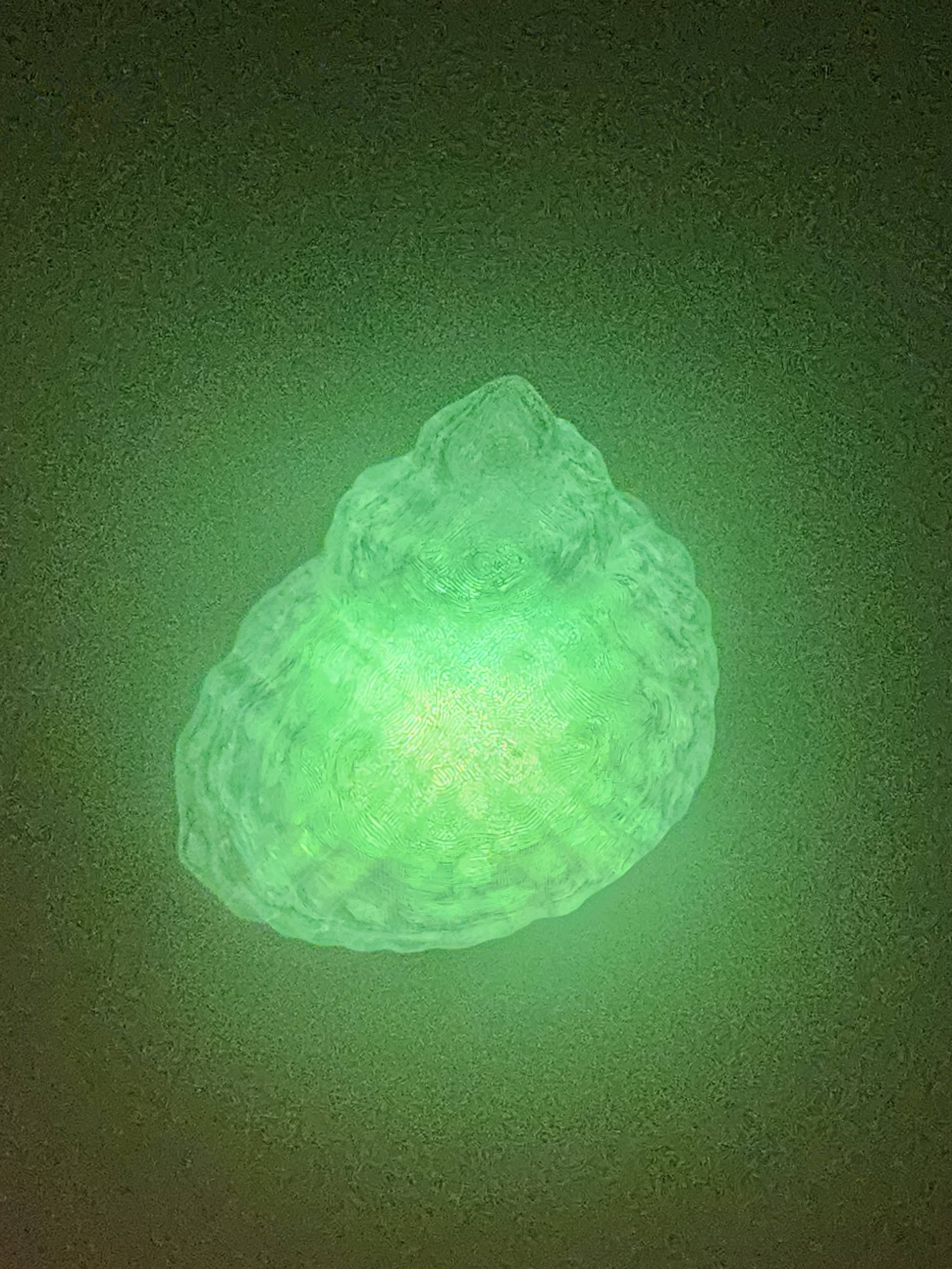 Shell Lights