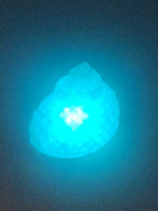Shell Lights