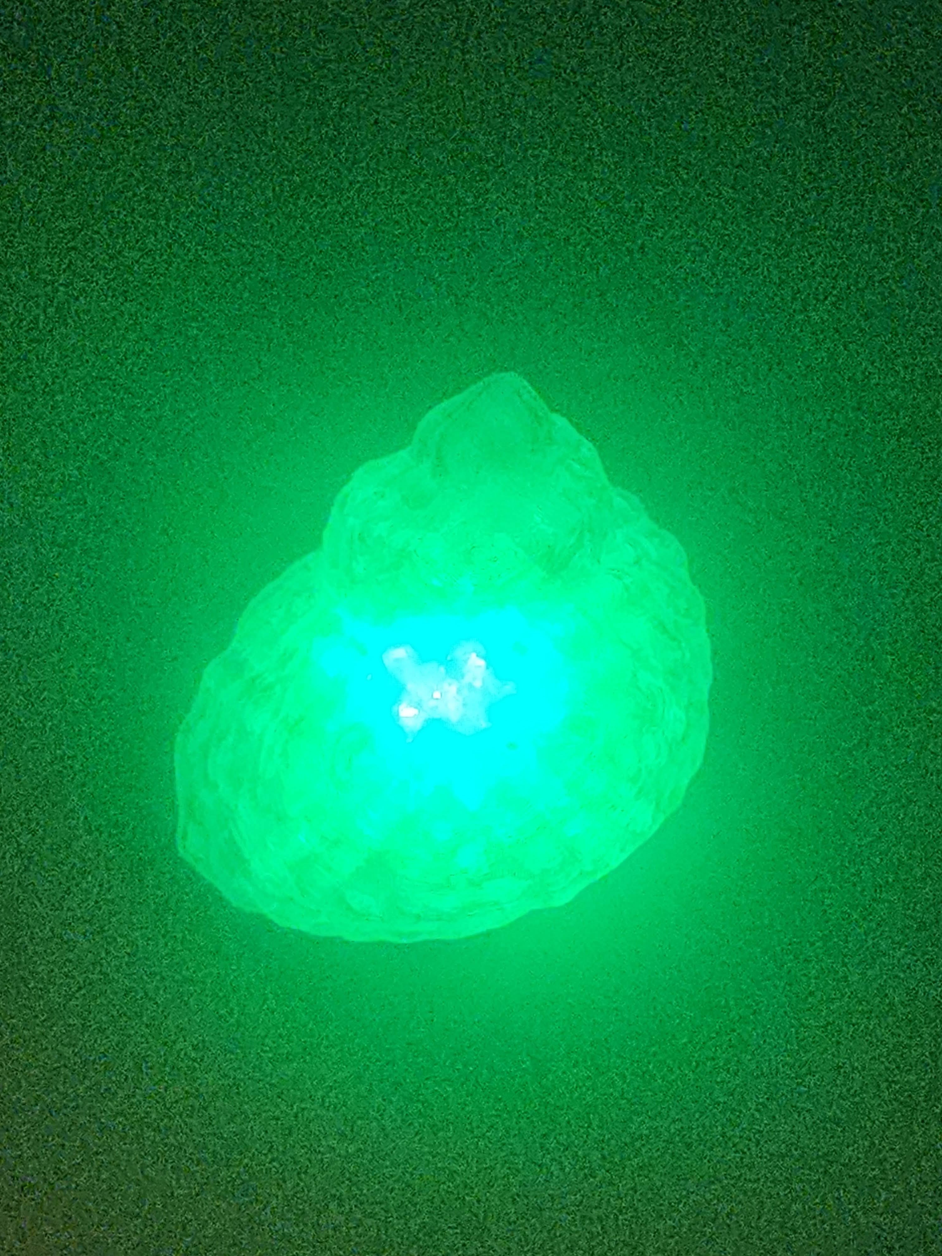 Shell Lights