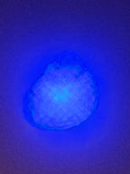 Shell Lights
