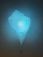 Shell Lights