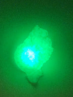Shell Lights