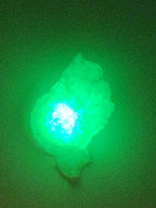 Shell Lights