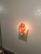 Shell Night Lights