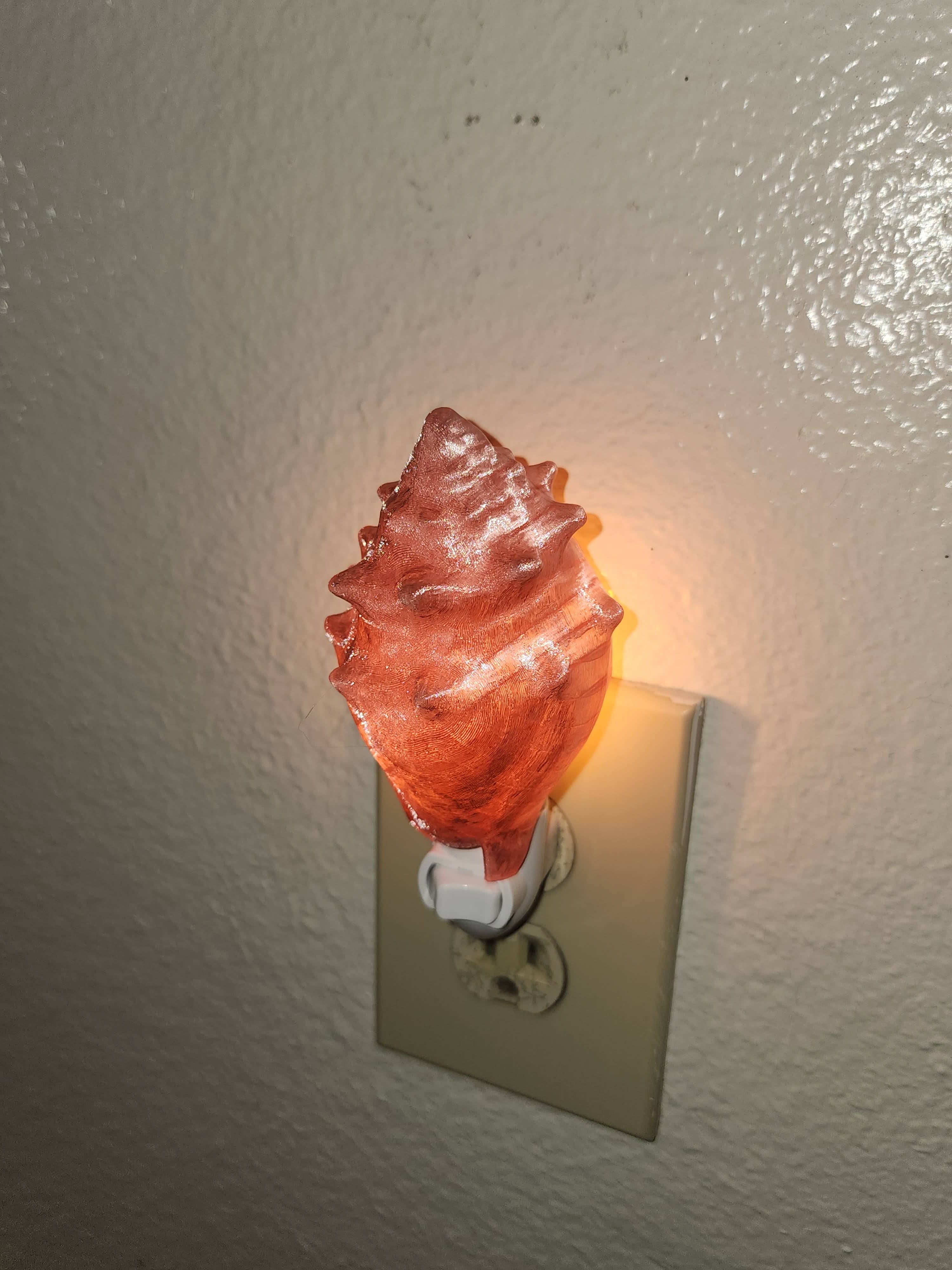 Shell Night Lights