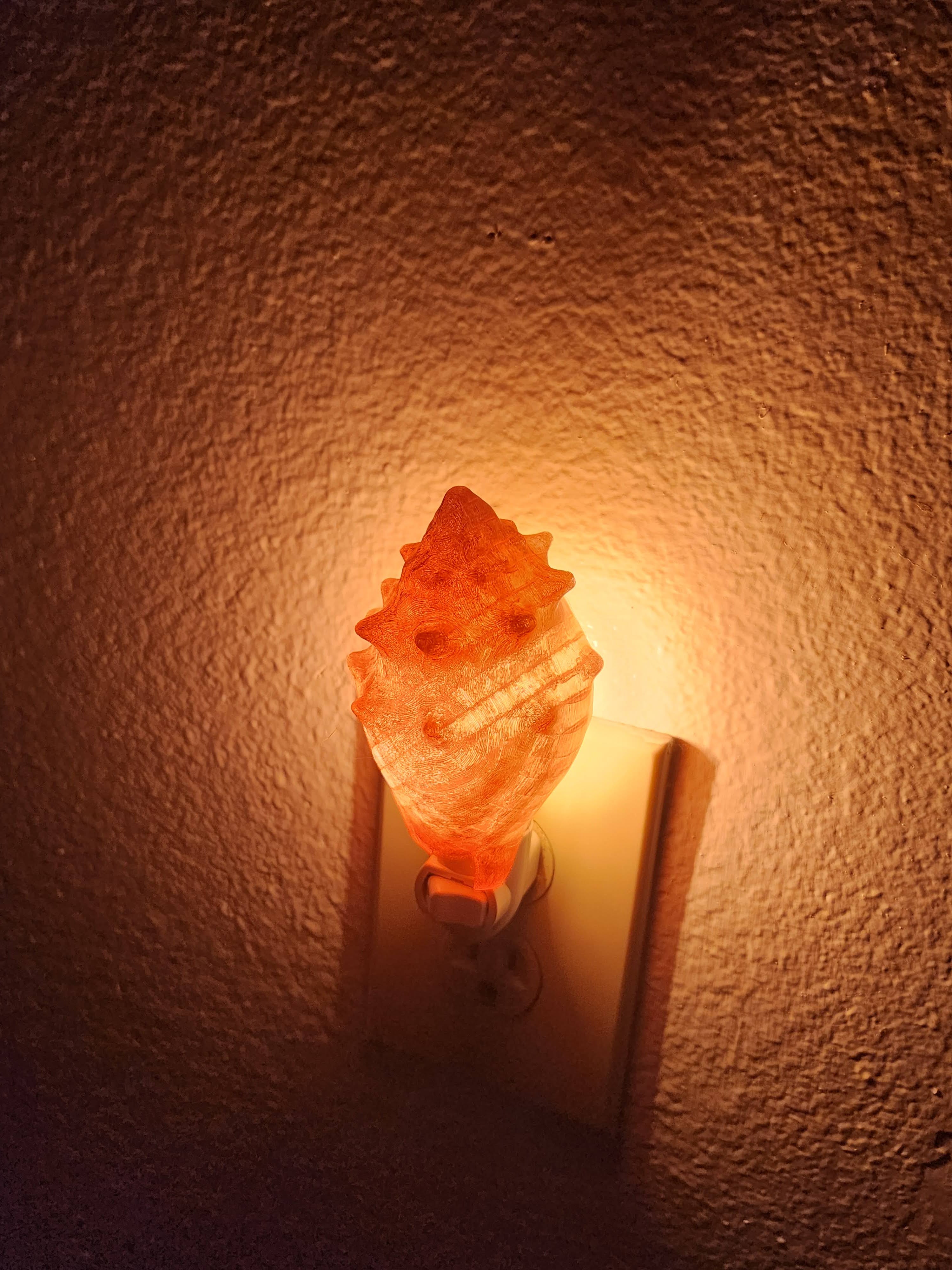 Shell Night Lights