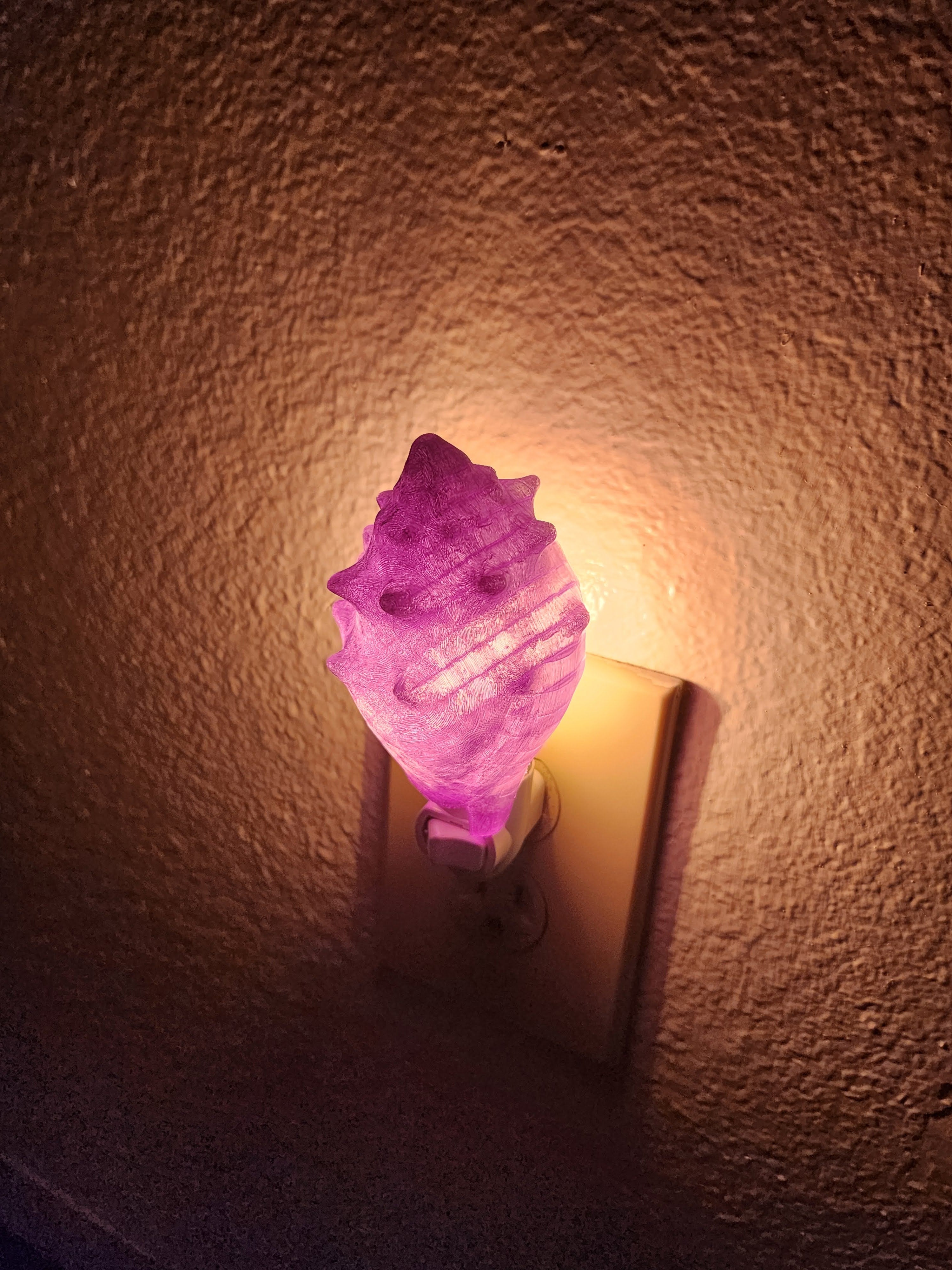 Shell Night Lights