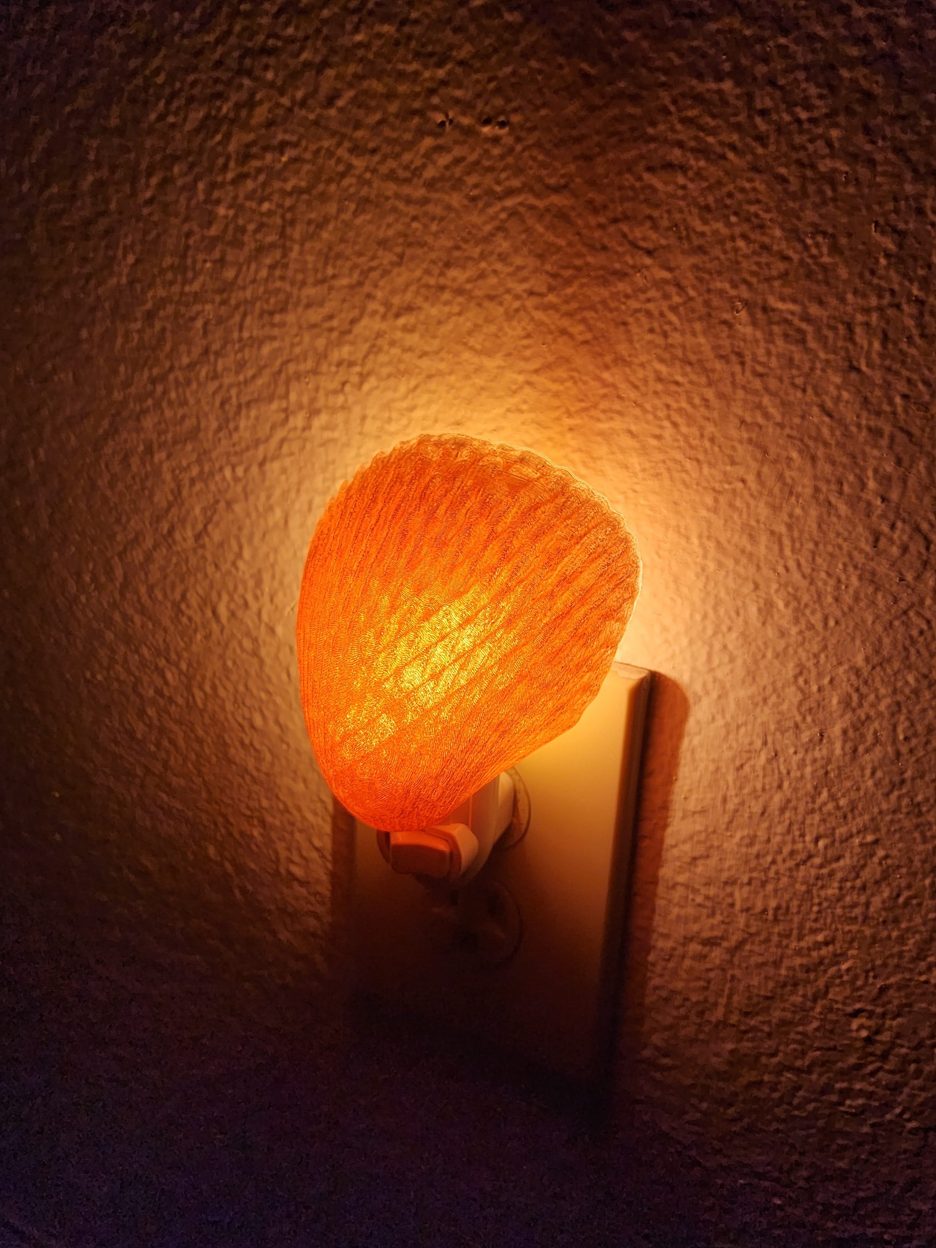 Shell Night Lights