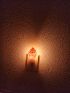 Shell Night Lights