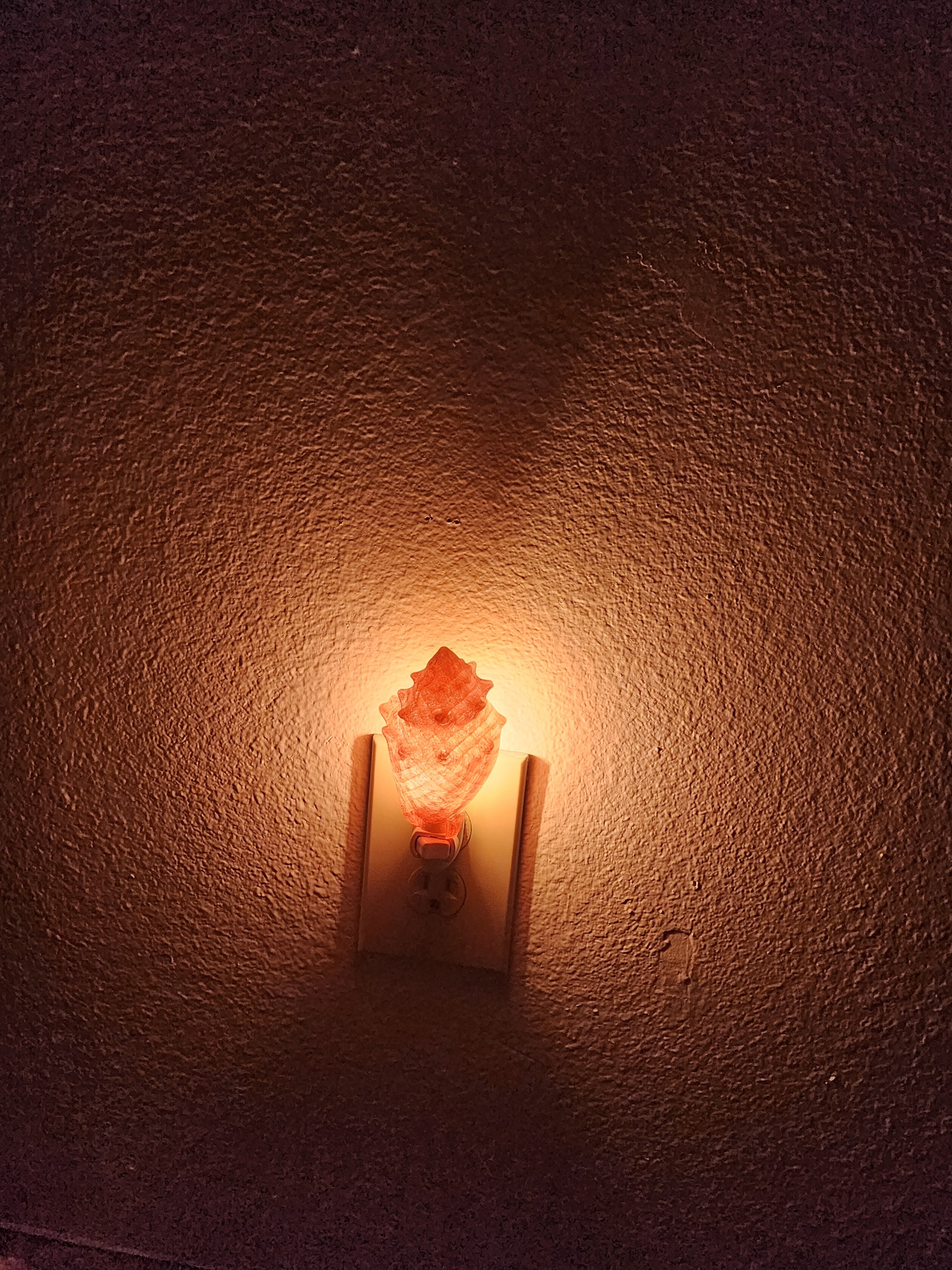 Shell Night Lights