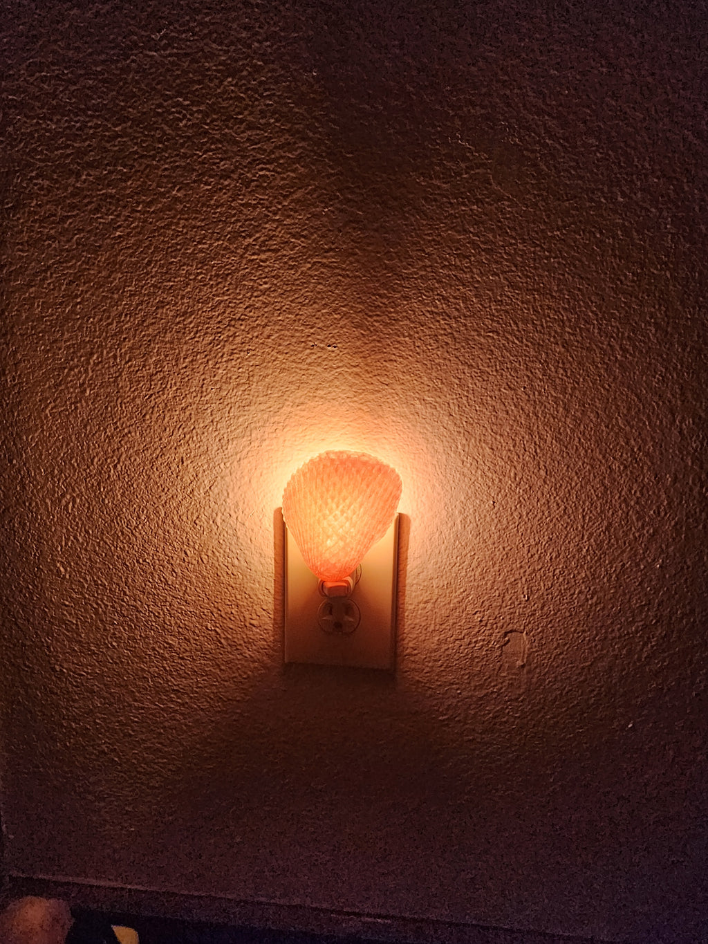 Shell Night Lights
