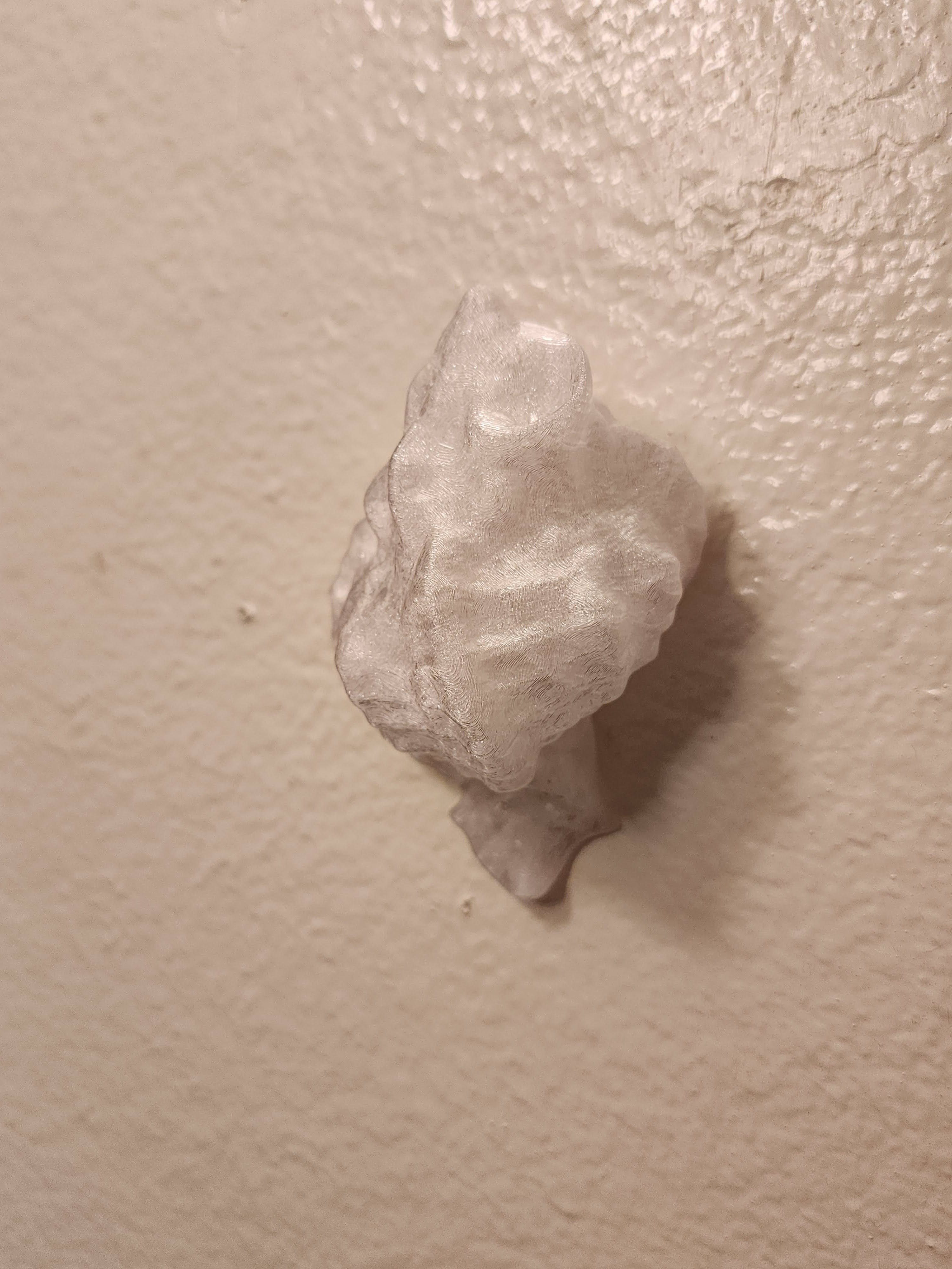Shell Lights