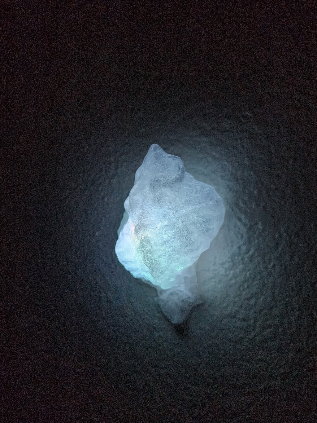 Shell Lights