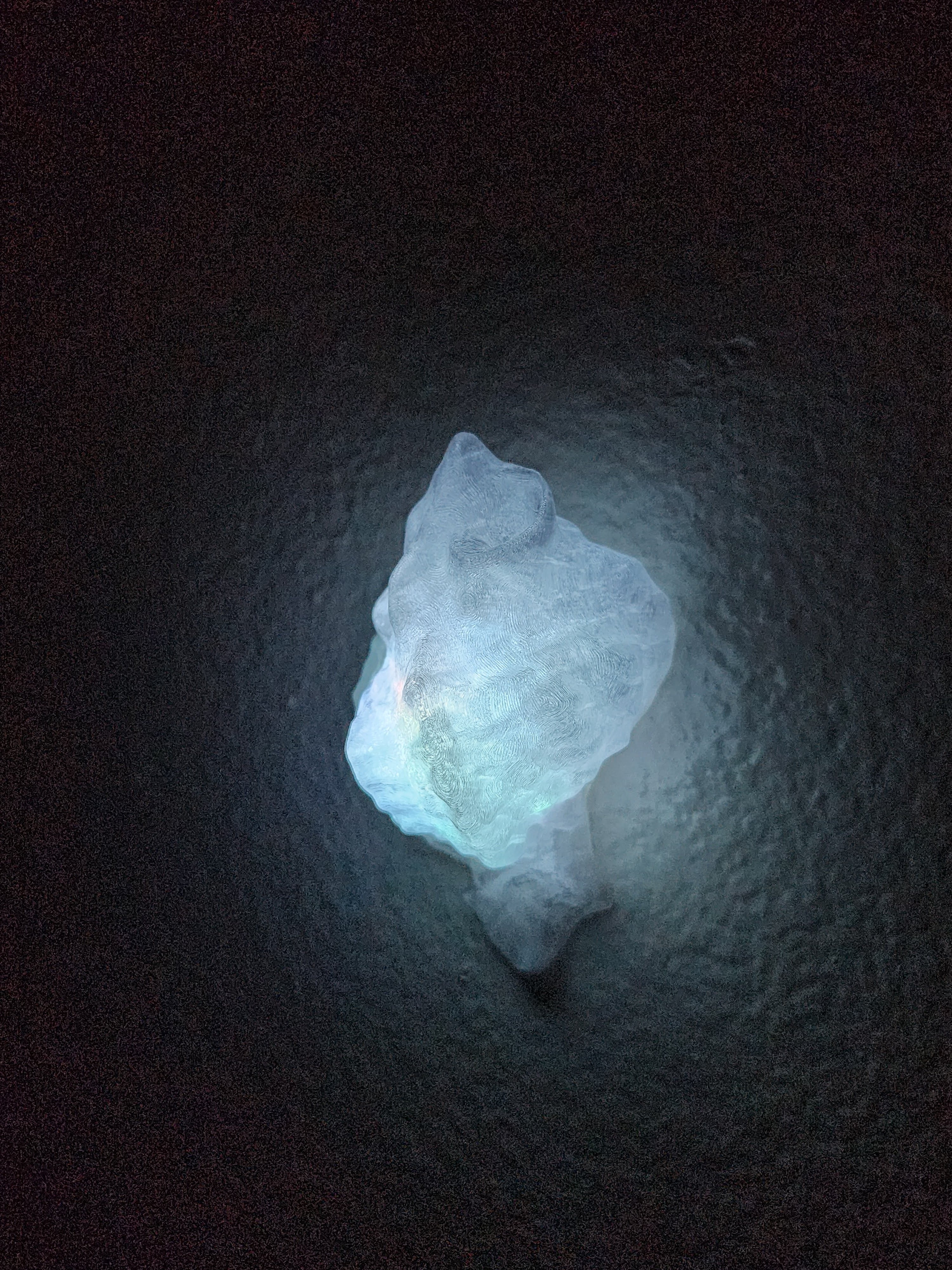 Shell Lights